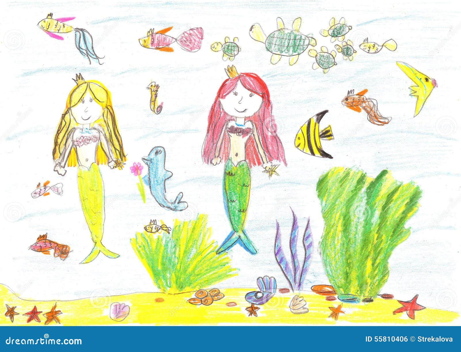 Dessin Dune Sirène Poisson Tortue étoile De Mer