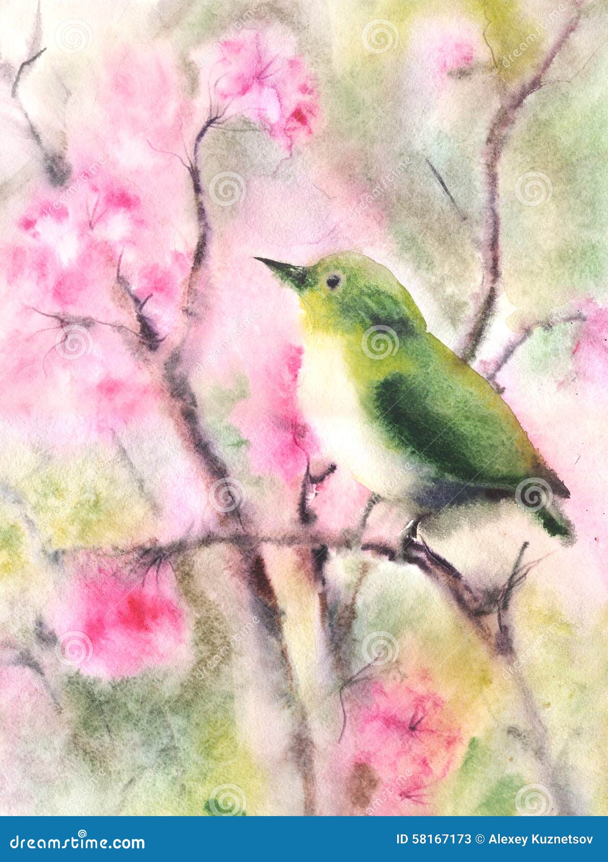 Dessin De Couleur Deau Dun Petit Oiseau Vert Illustration