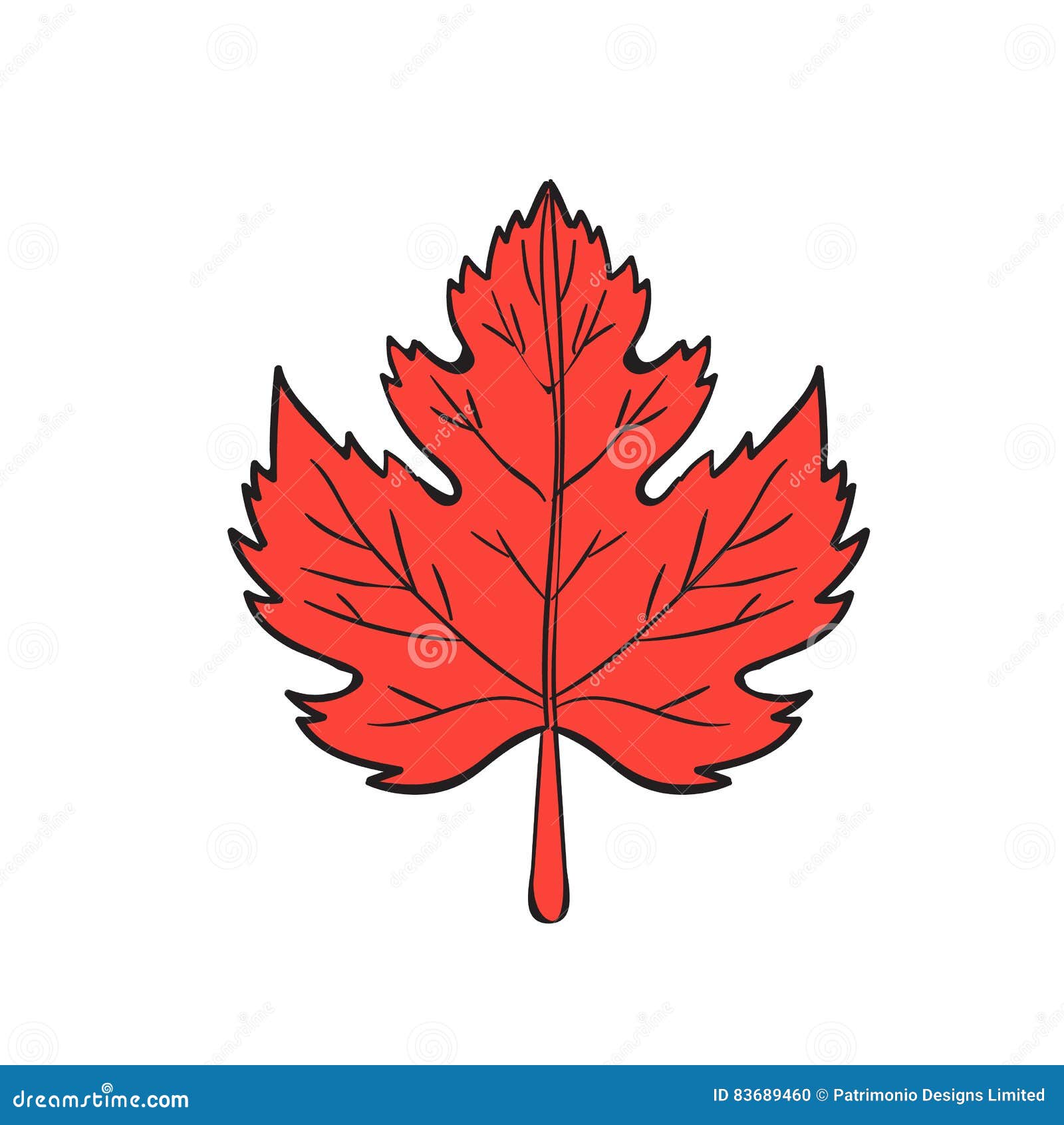 Dessin de feuille d'érable illustration stock. Illustration du