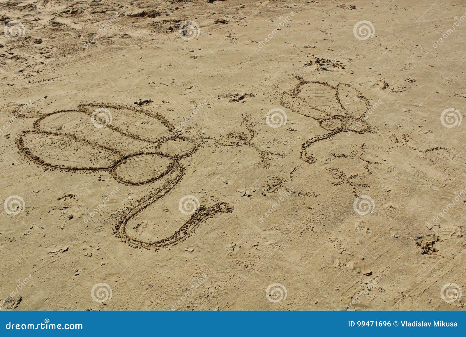 Dessin De Sable Photo Stock Image Du Gentil Plage