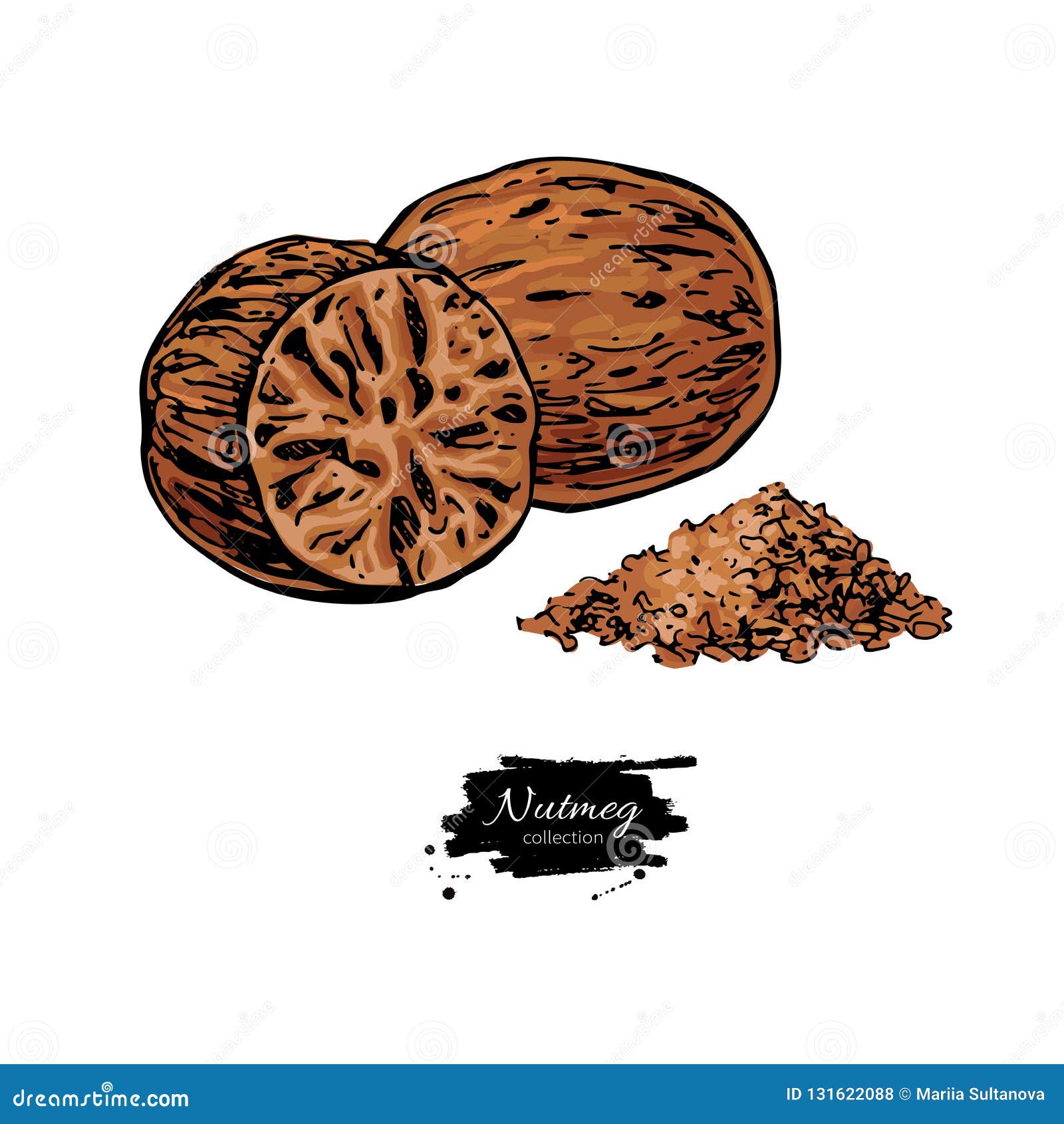 Dessin De Vecteur D Epice De Noix De Muscade Croquis Au Sol D Ecrou D Assaisonnement Ingredient De Fines Herbes Culinaire Et Fai Illustration De Vecteur Illustration Du Nourriture Aromatique Dessin De Vecteur D Epice De Noix De Muscade Croquis Au Sol D Ecrou D Assaisonnement Ingredient De Fines Herbes Culinaire Et Fai Illustration De Vecteur Illustration Du Nourriture Aromatique