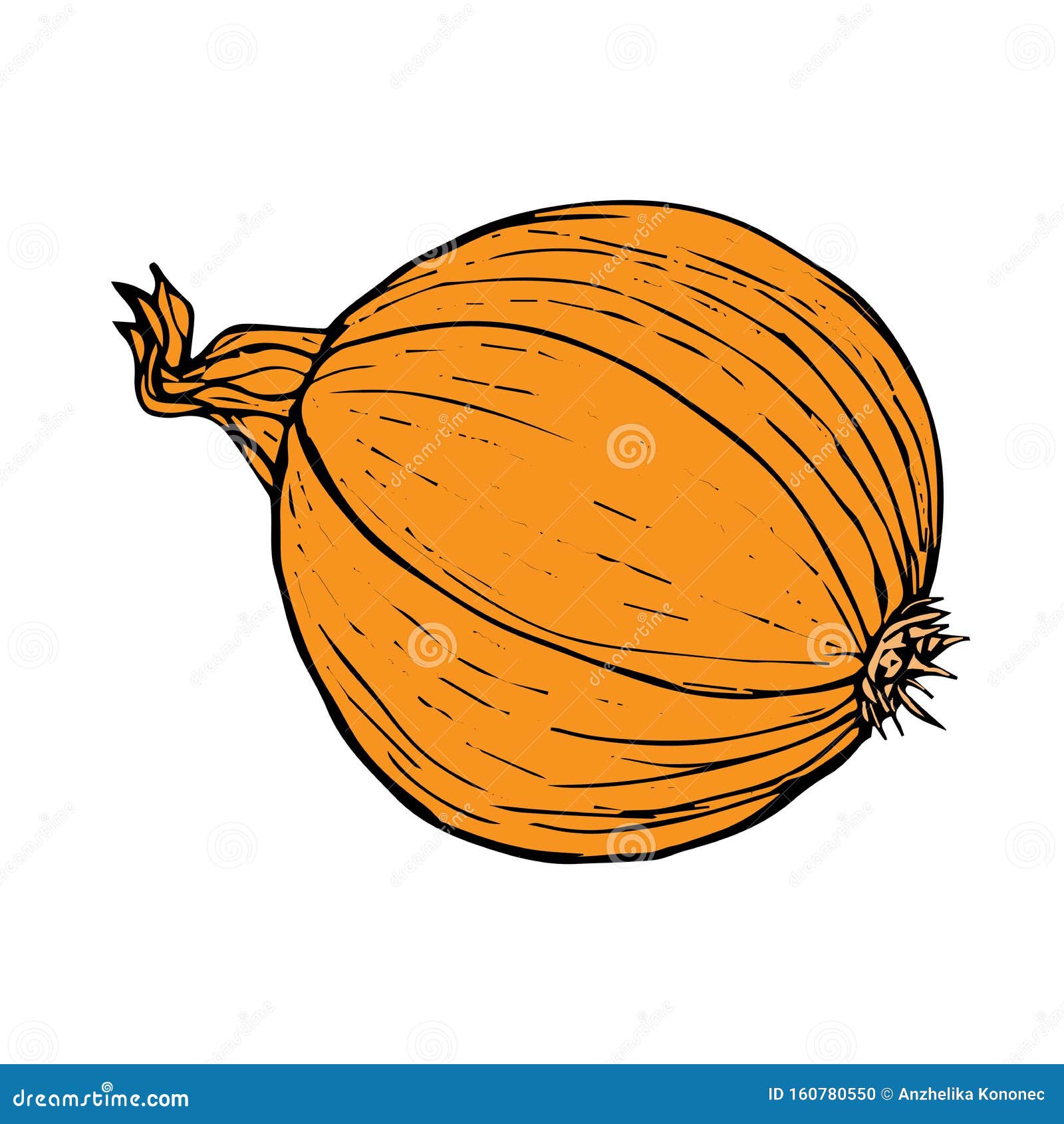 Dessin Jaune D Oignon Isole Sur Fond Blanc Illustration Stock Illustration Du Centrale Ligne