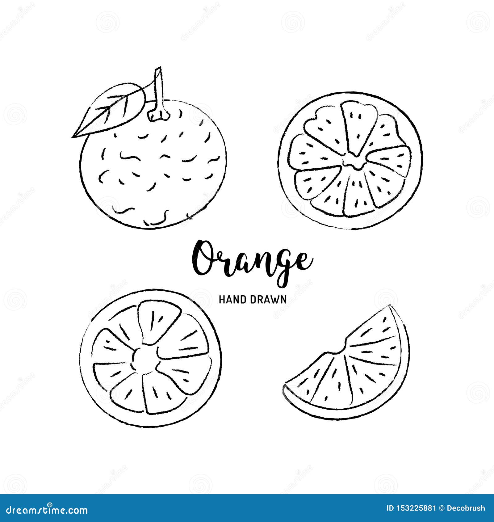 Dessin Orange De Fruit Tranches Oranges Croquis Des Oranges Sur Un Fond Blanc Illustration De Vecteur Illustration De Vecteur Illustration Du Griffonnage Cahier