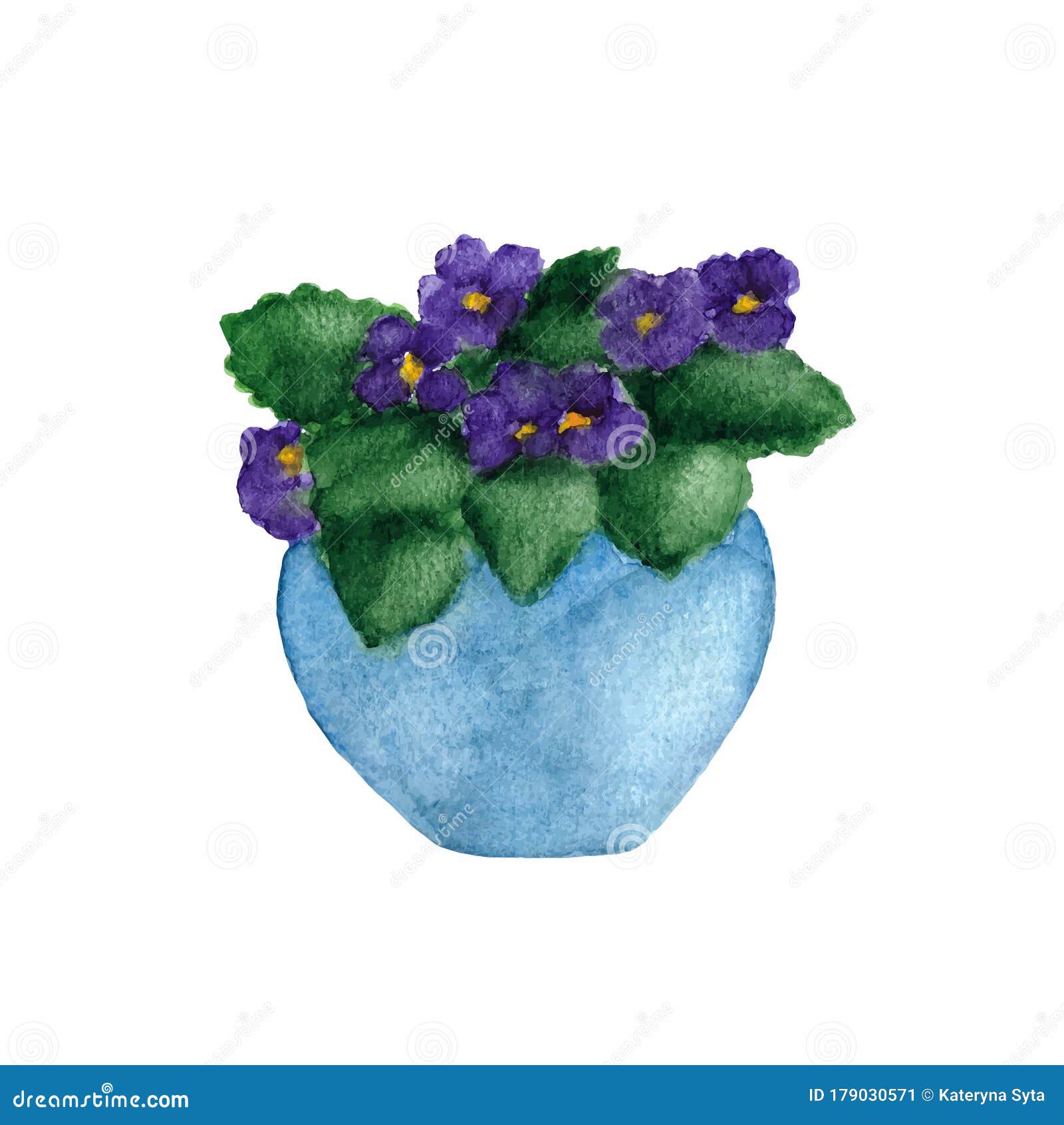 Dessin Pour Aquarelle De Violette à Fleurs Dans Un Pot De Fleurs  Illustration Stock - Illustration du retrait, bleu: 179030571