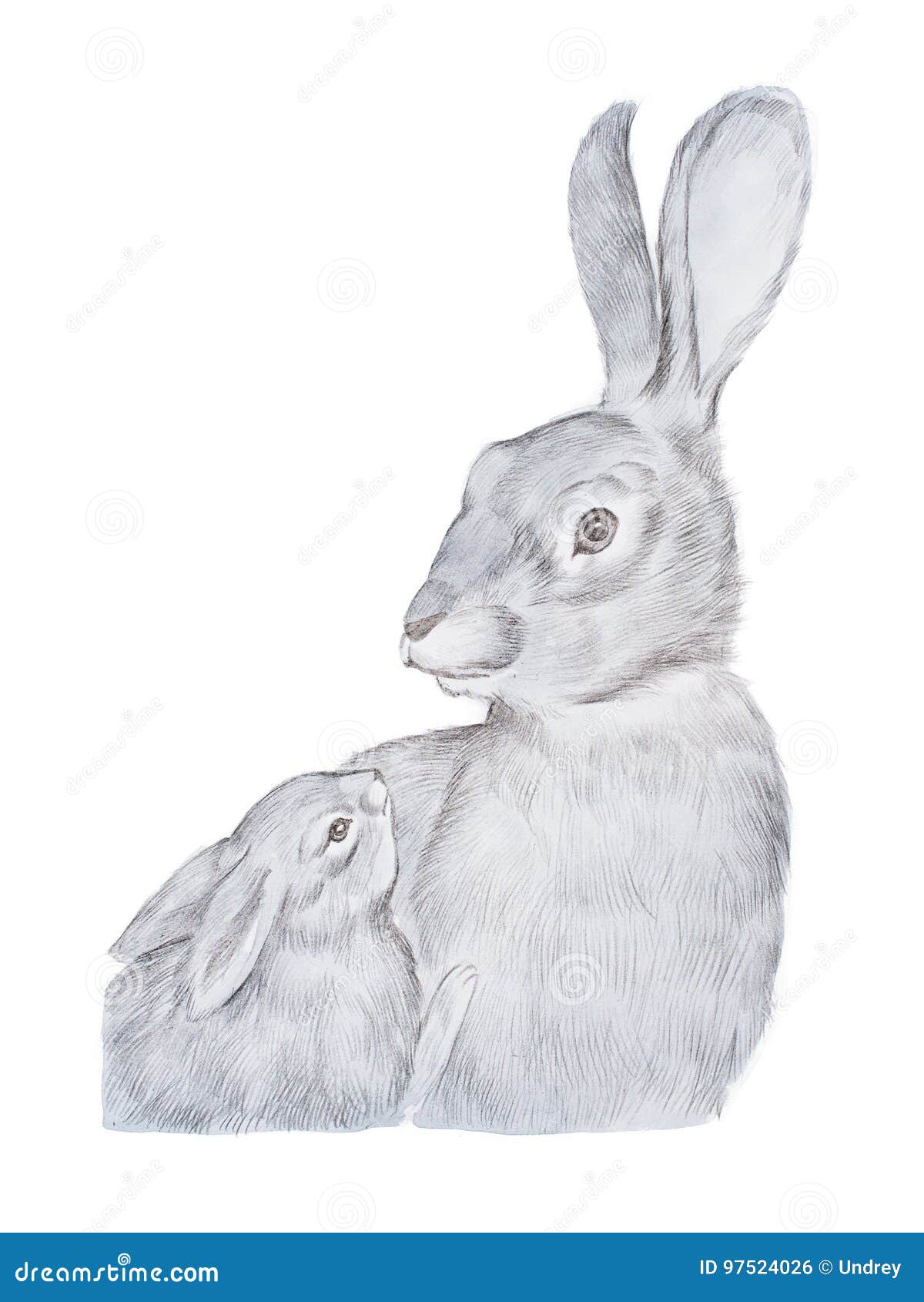 Dessin Realiste De Lapin Gris De Mere Et Son De Bebe Tires Par La Main Illustration Stock Illustration Du Faune Gris Dessin Realiste De Lapin Gris De Mere Et Son De Bebe Tires Par La Main Illustration Stock Illustration Du Faune Gris