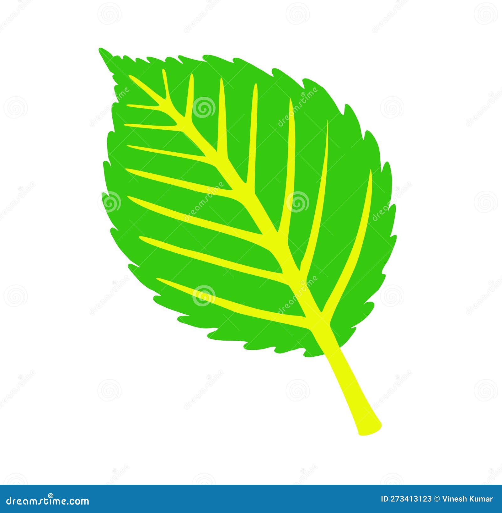 Dessin Vectoriel Feuille Simple Sur Fond Blanc Illustration Stock -  Illustration du normal, travail: 273413123