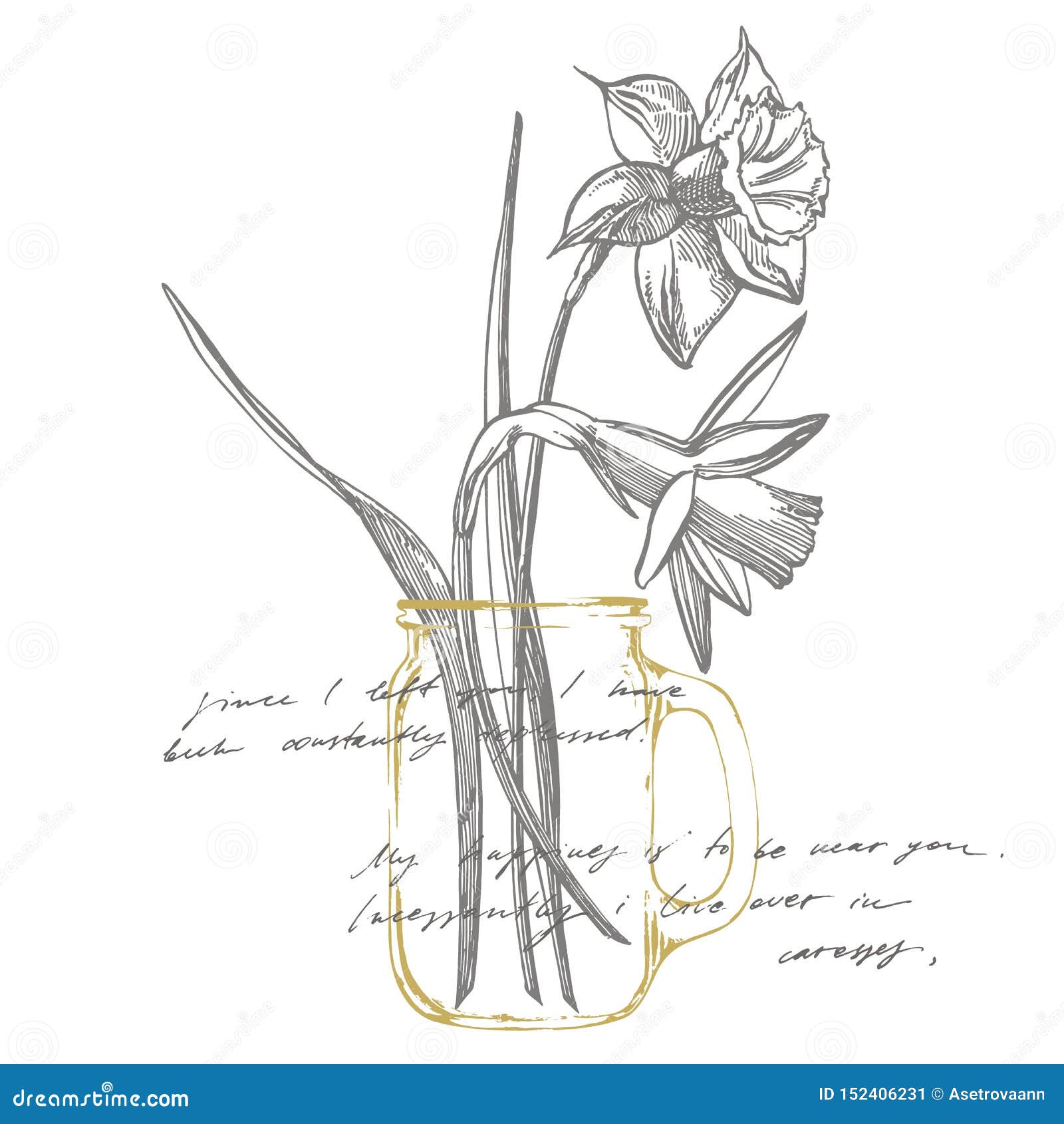 Dessins De Fleur De Jonquille Ou De Narcisse Collection De Jonquille Noire  Et Blanche Tirée Par La Main Botanique Tir? Par La Mai Illustration Stock -  Illustration du lame, configuration: 152406231