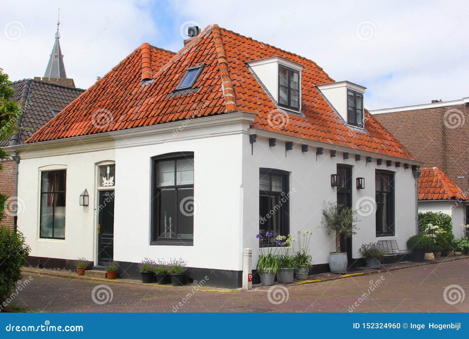 White Villa House Red Roof Plants Flowers, Netherlands Stock - Image of green, european: 152324960