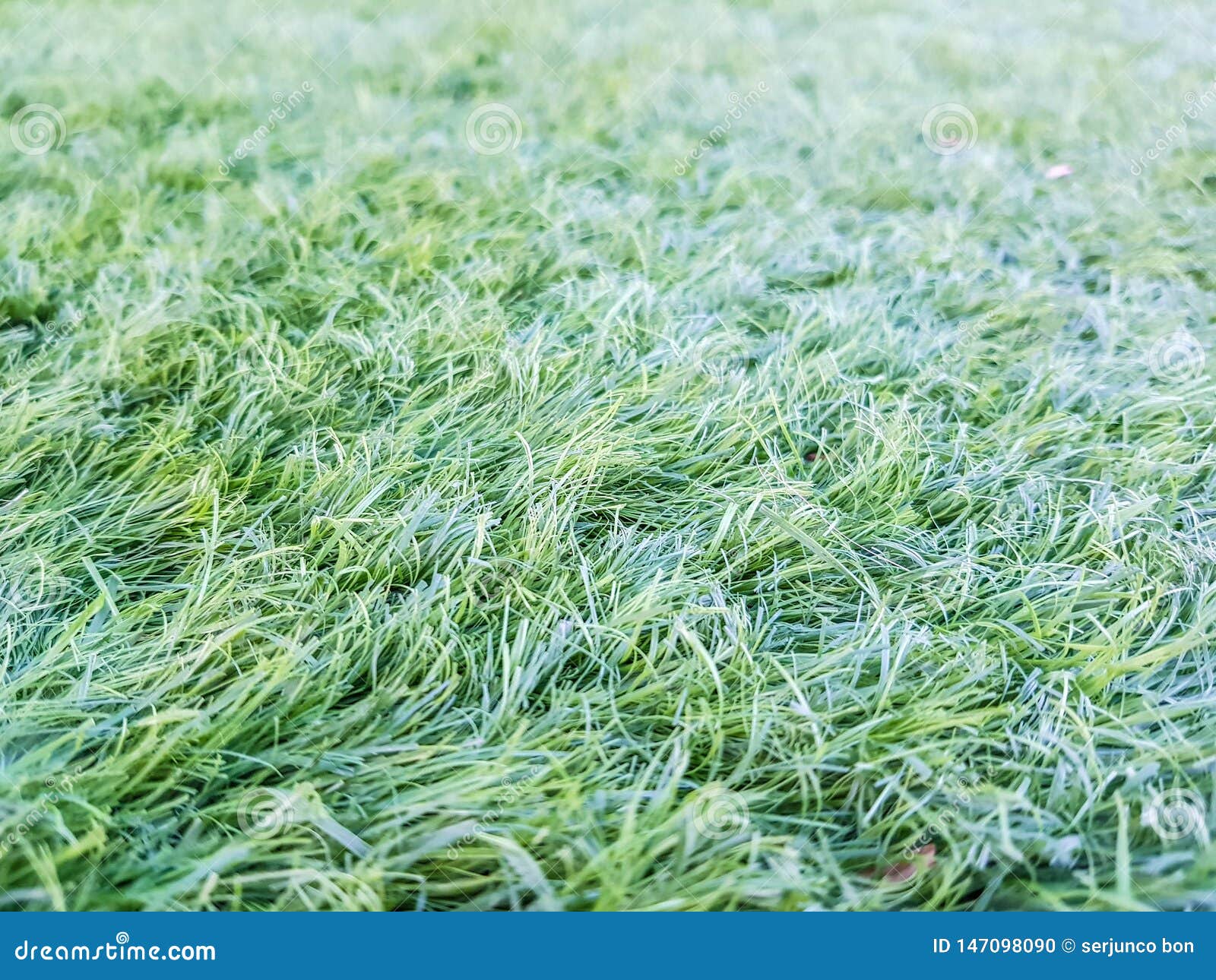 Detail Of Artificial Grass Placed On The Playing Field Stock Photo