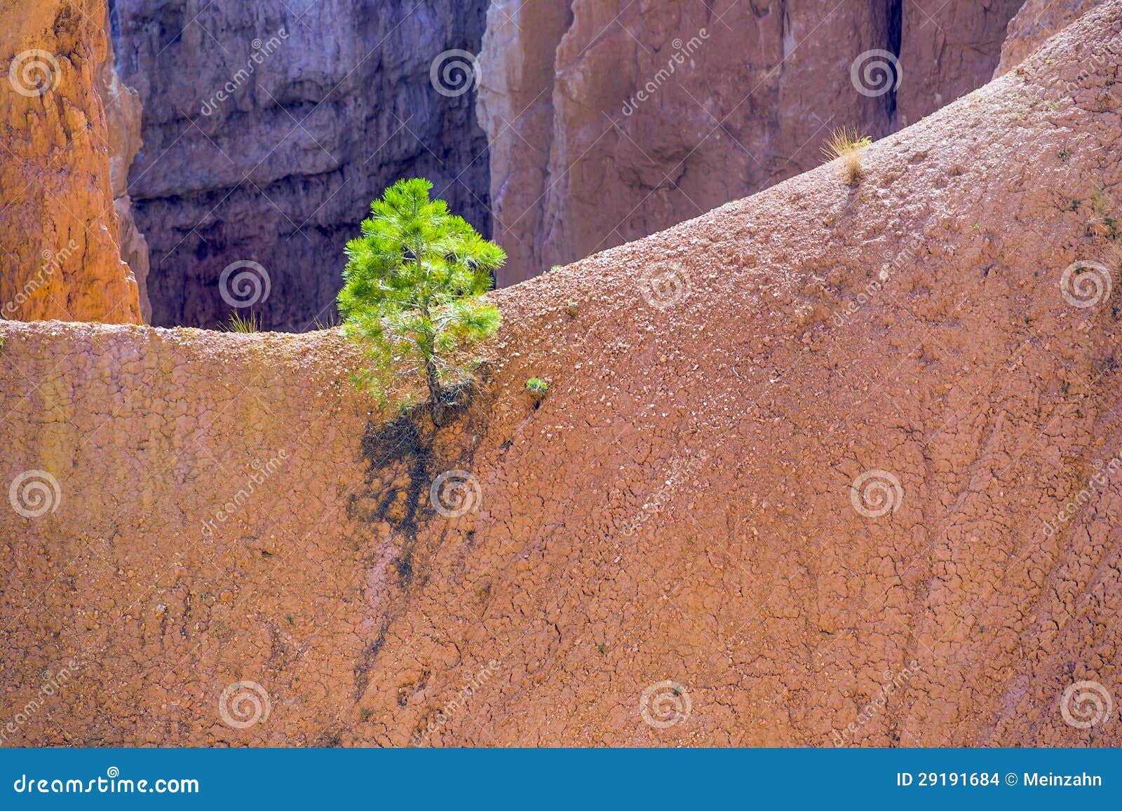 Detail of beautiful landscape in Bryce Canyon. Beautiful landscape in Bryce Canyon with magnificent Stone formation like Amphitheater, temples, figures in afternoon ligh