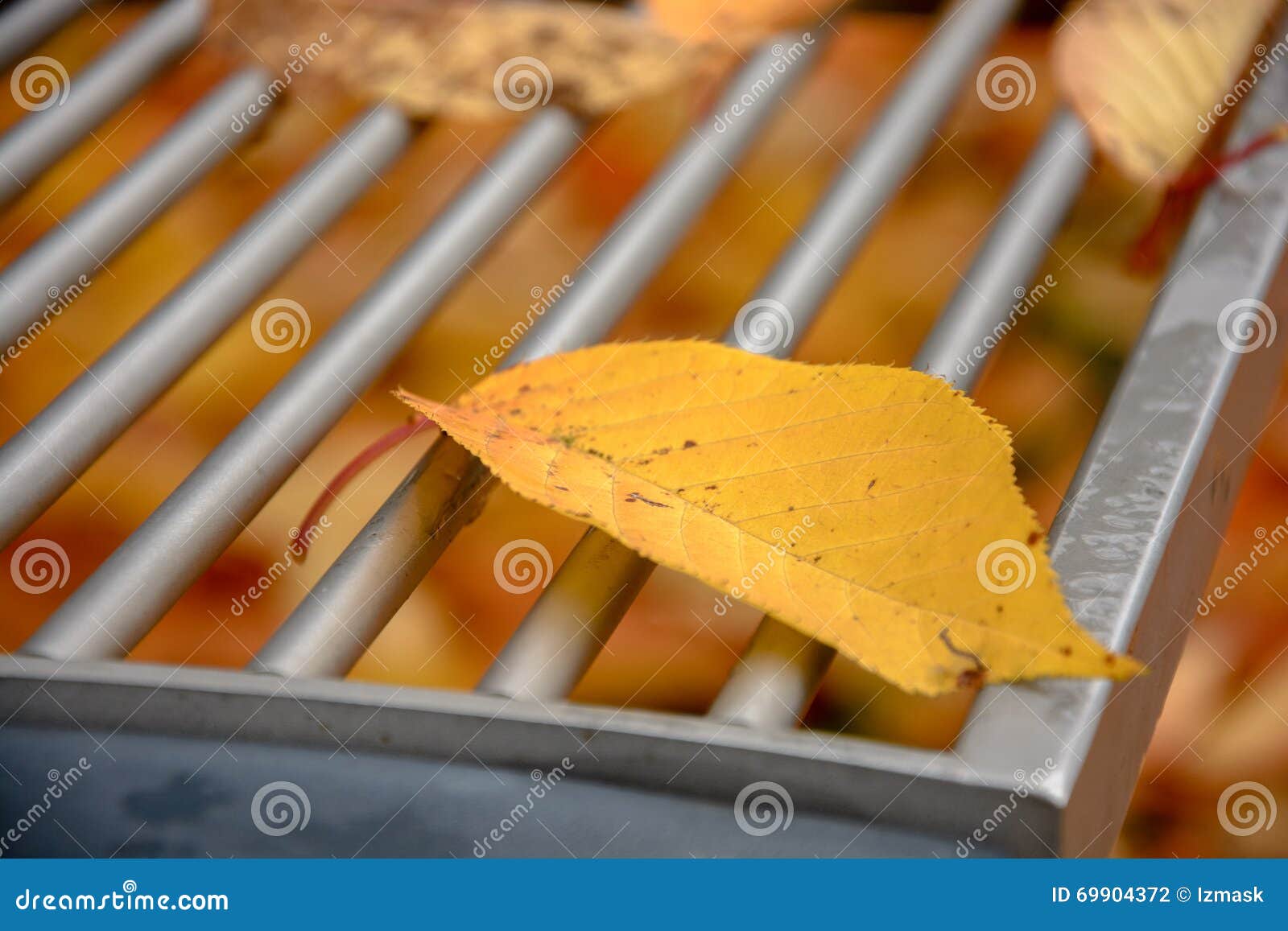 detail of bench with leaves