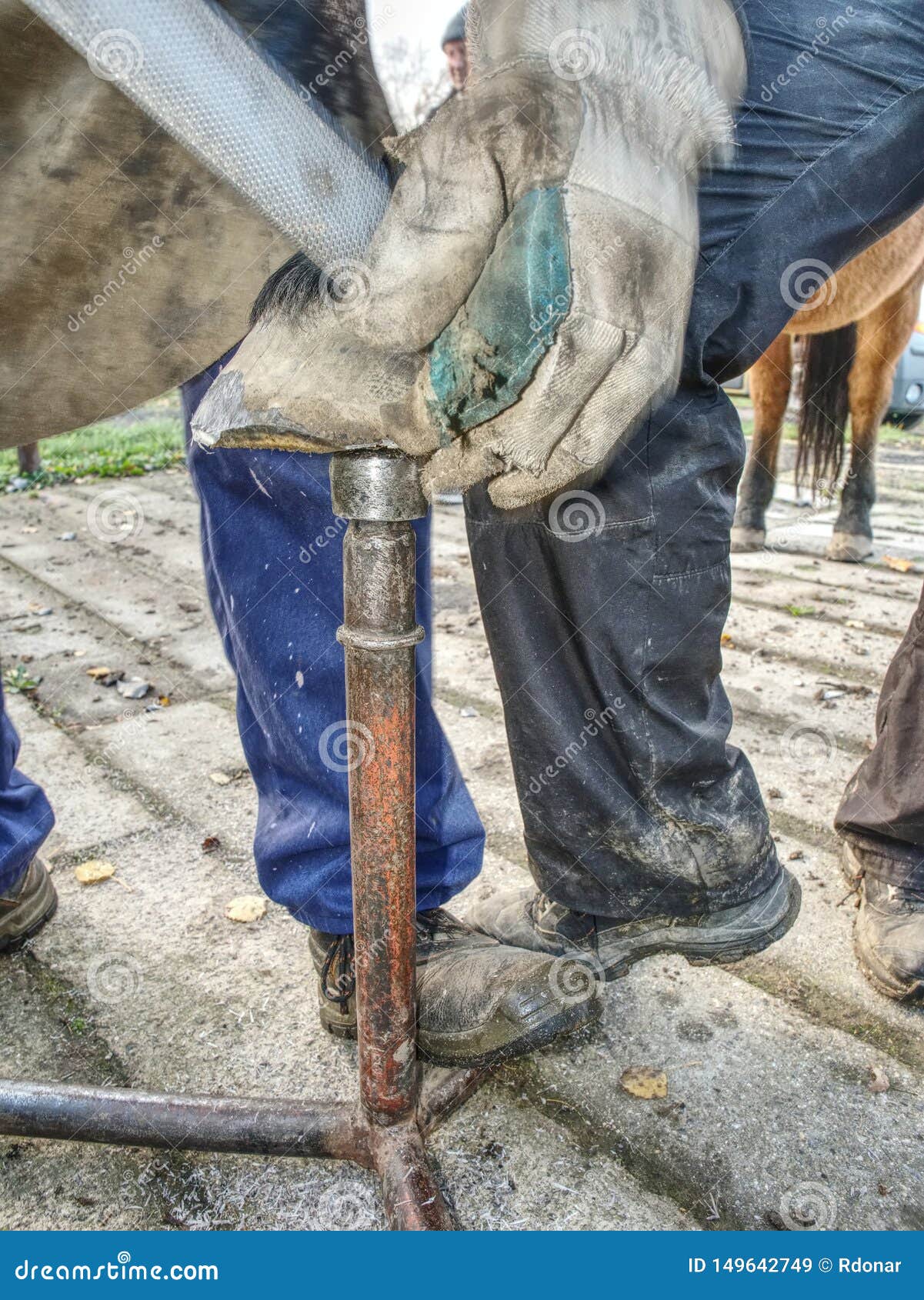detail of blacksmith work. stableman modify hoof