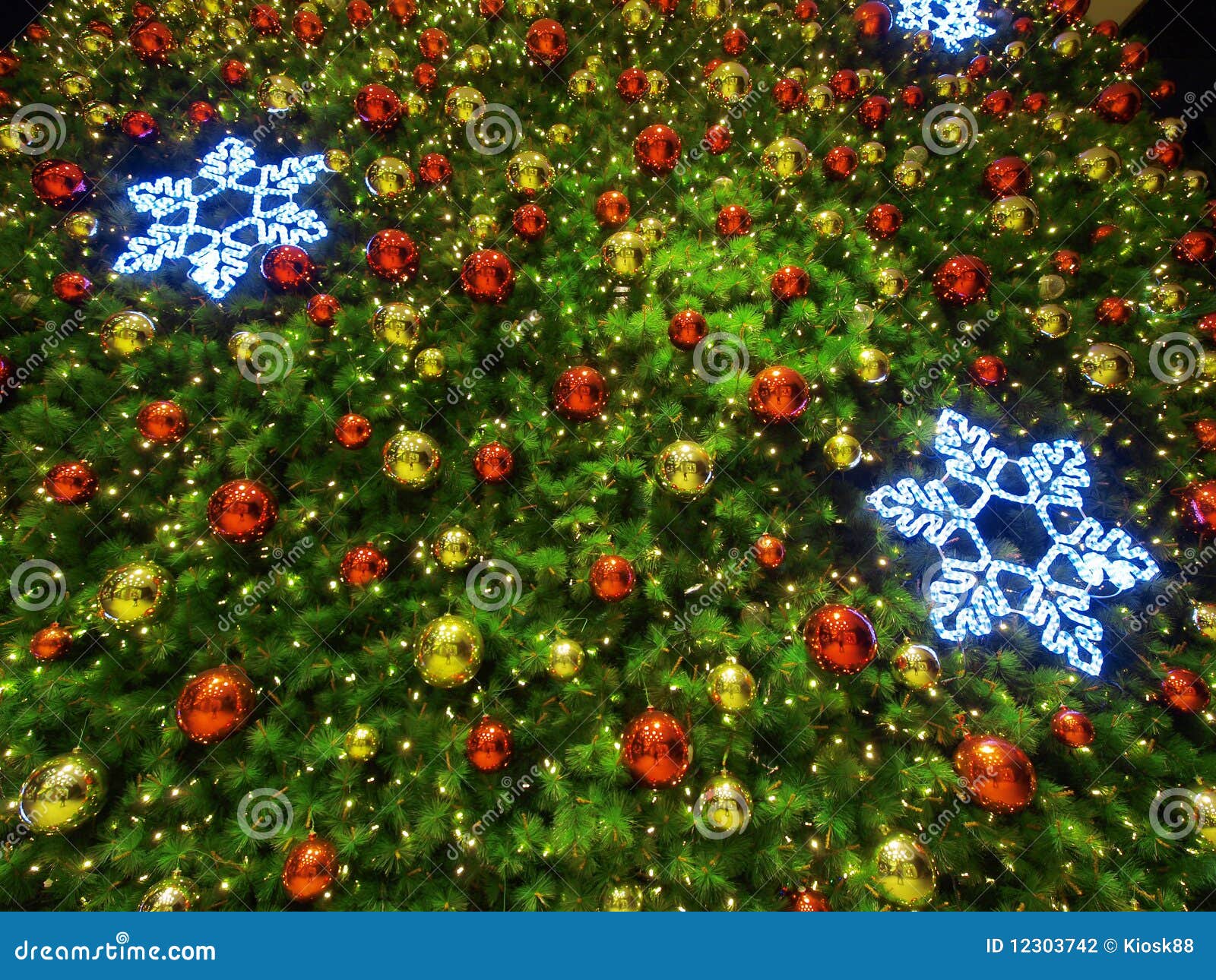 Detail of christmas tree stock photo. Image of decoration 12303742