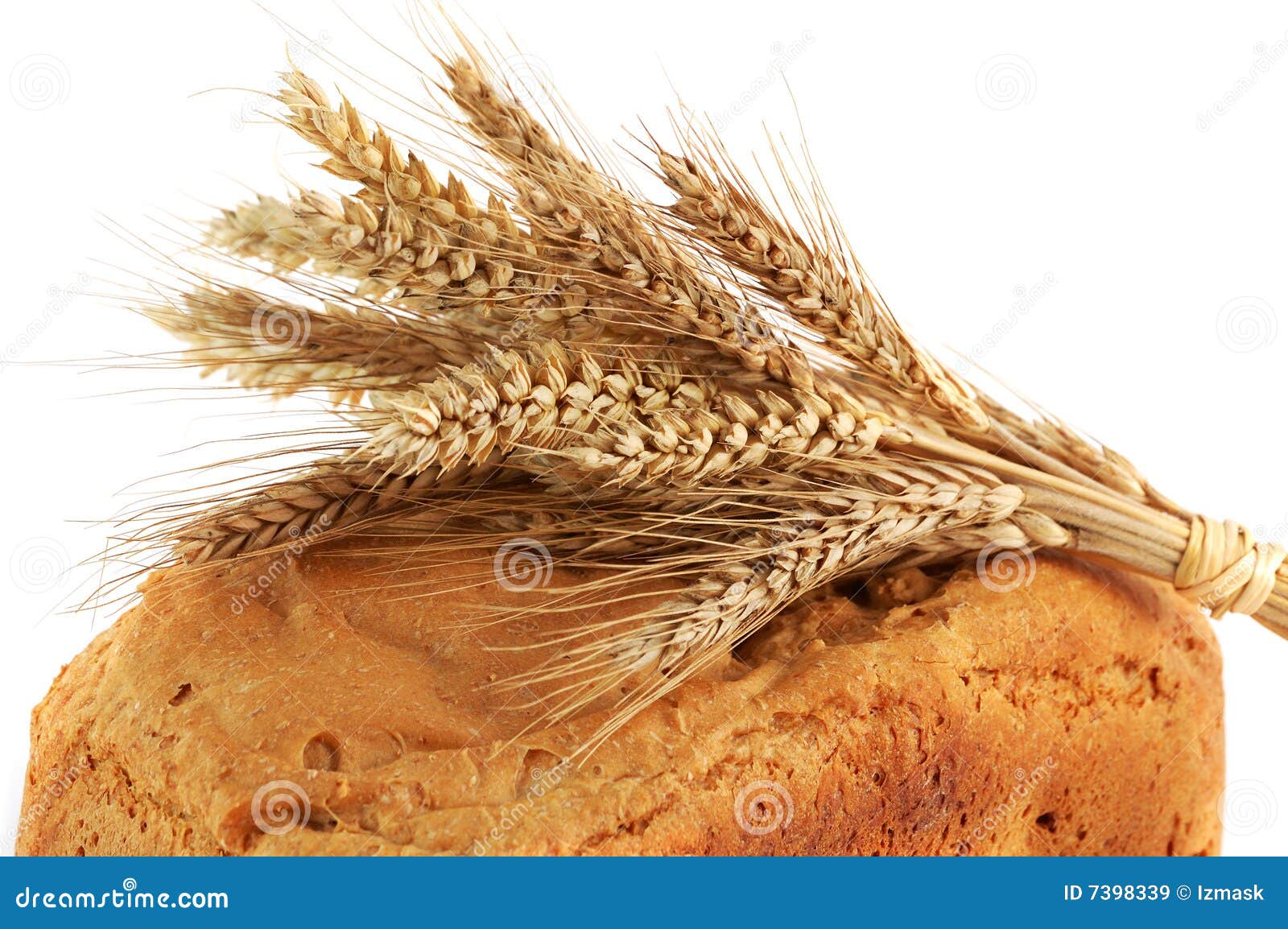 Detail of Ear on the Homemade Bread Stock Image Image of homemade, bread 7398339