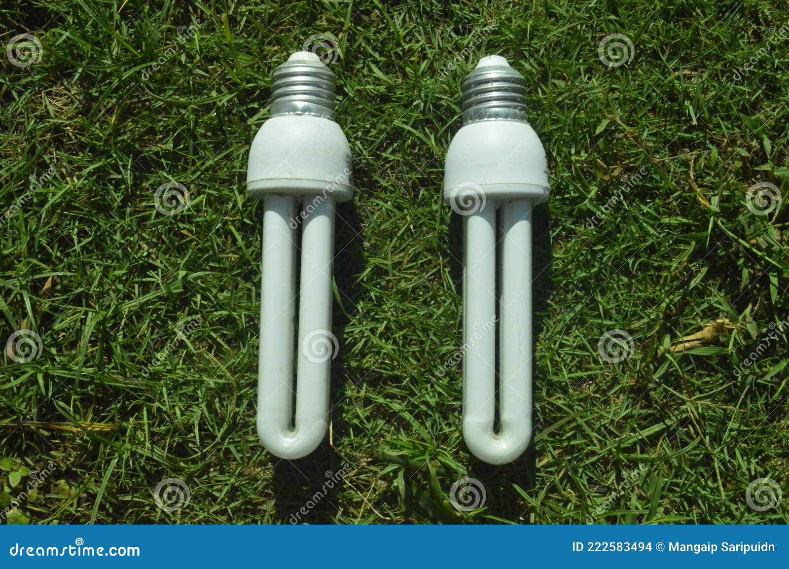Detail of Fluorescent Lamps Stock Photo Image of dried, detail 222583494