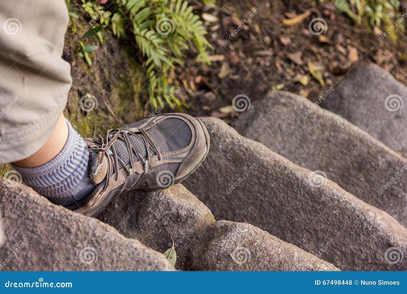 Detail Foot Going Down the Stairs Stock Photo Image of green, stairs