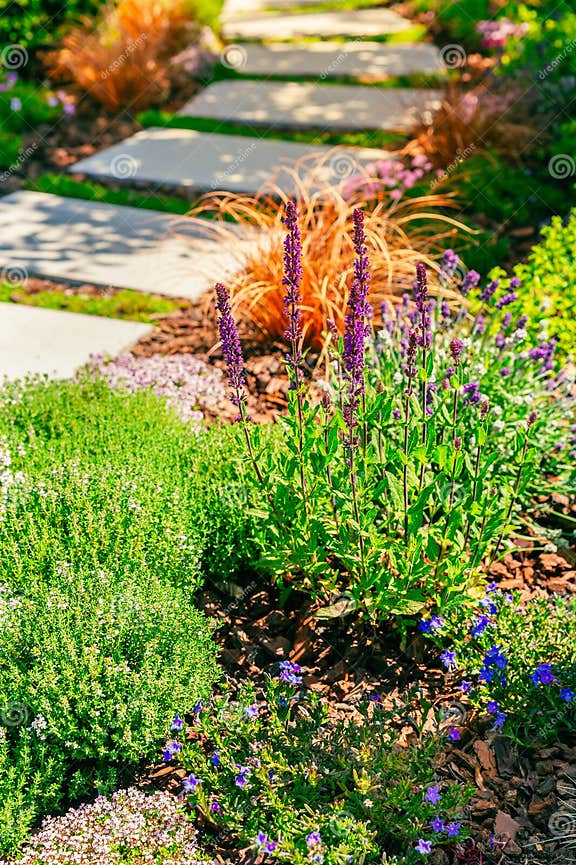 Detail of Garden Path with Stone Slabs with Bark Mulch and Native Plants. Landscaping and