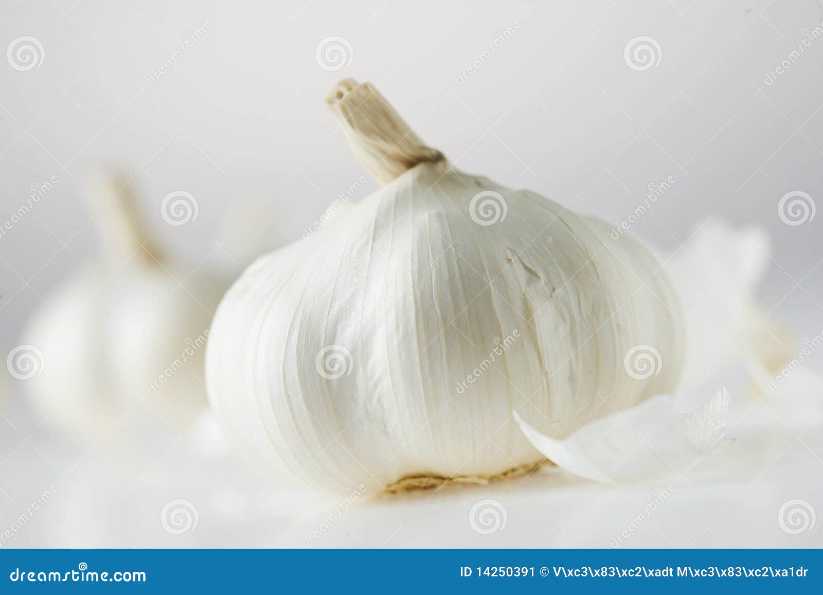 Detail Of Garlic Head Being Cut To Half With More Fresh Unpeeled Garlic On The Side And Various