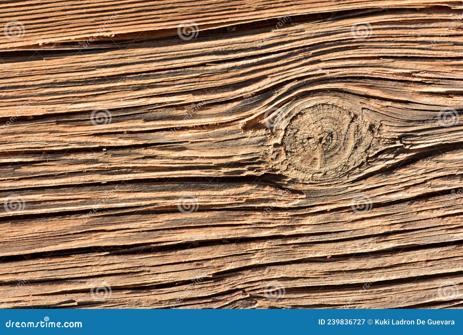 detail of the grain of an old wooden boardd