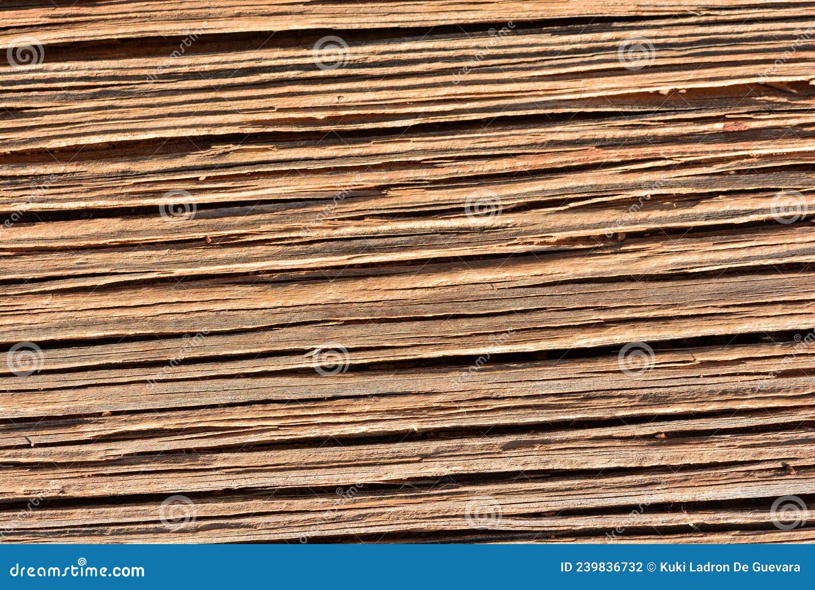 detail of the grain of an old wooden boardd