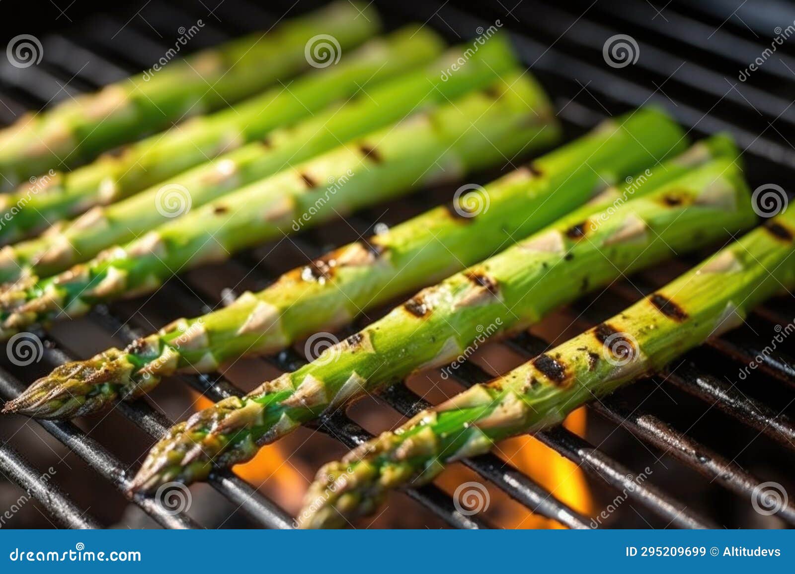 Detail of Grill Marks on an Asparagus Spear Stock Image Image of
