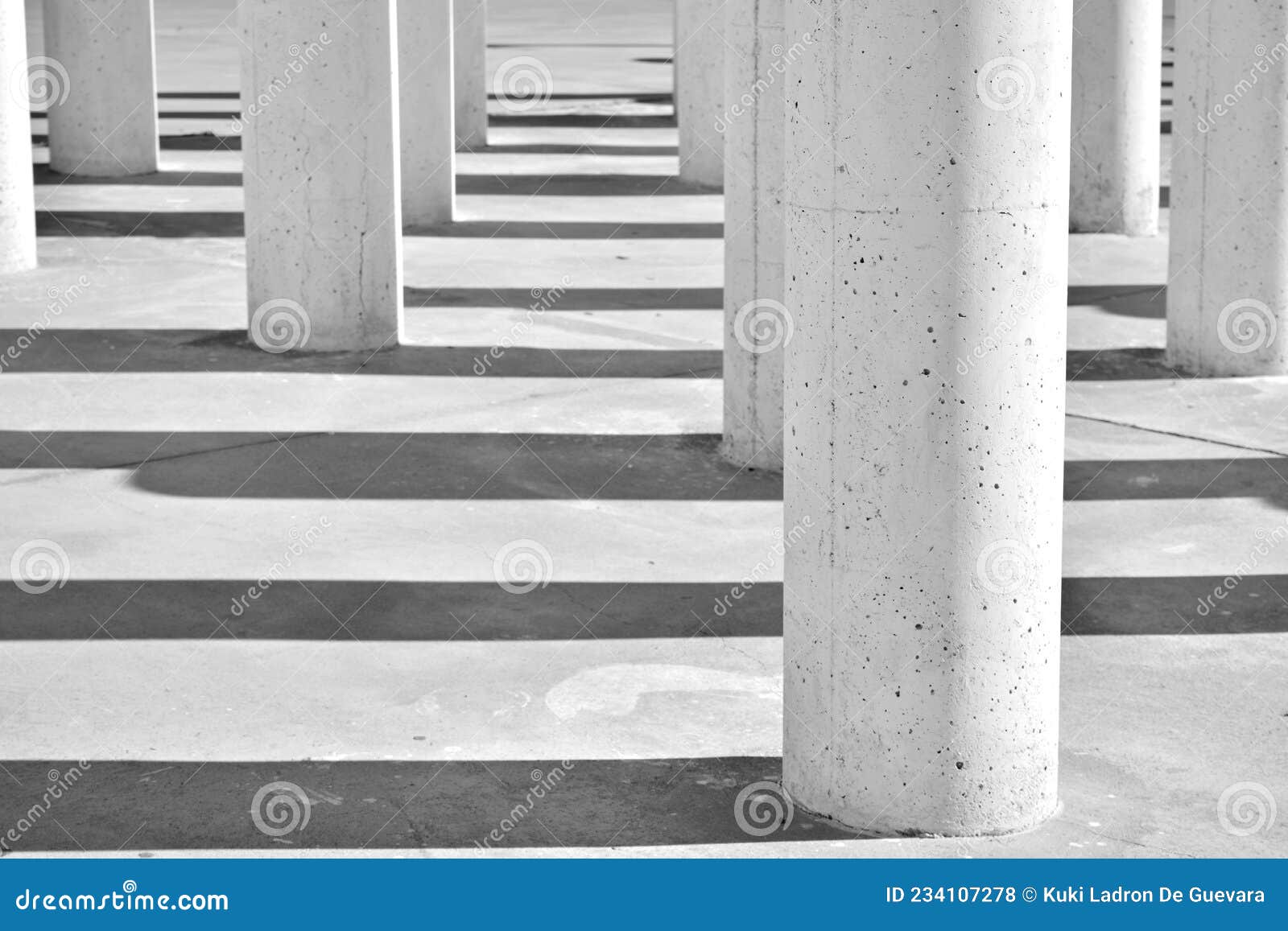 columns and their shadows, black and white