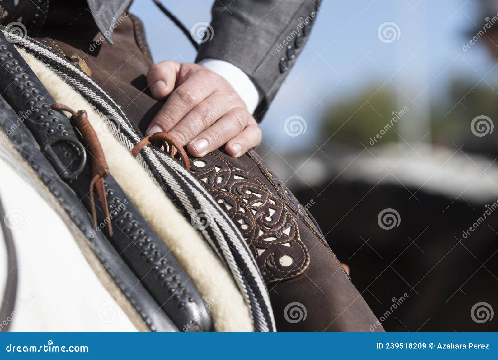 detail of the hand of a rider and his zahon in the traditional doma vaquera