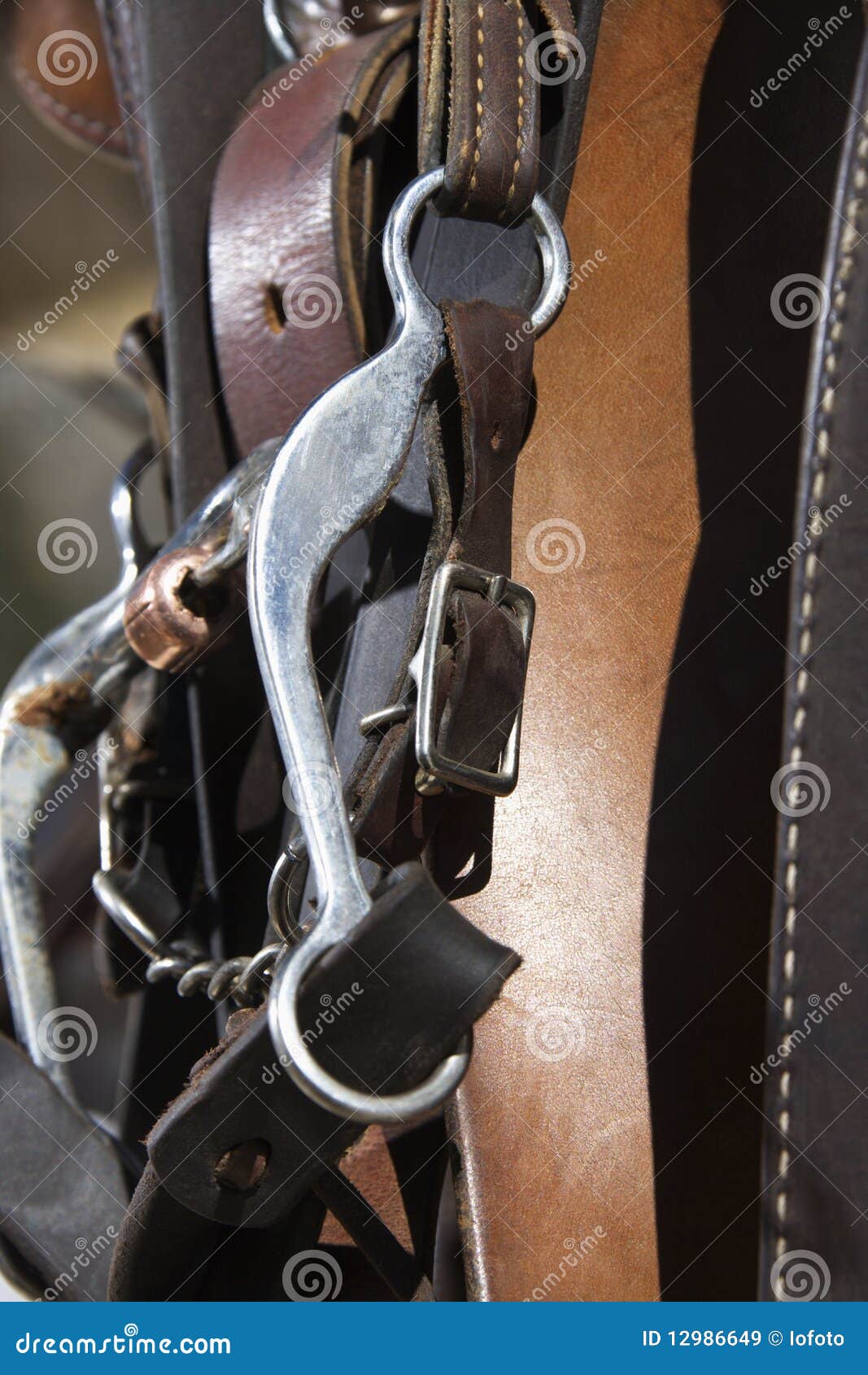 Old Horse Bridle Hanging On The Wall Stock Photography CartoonDealer