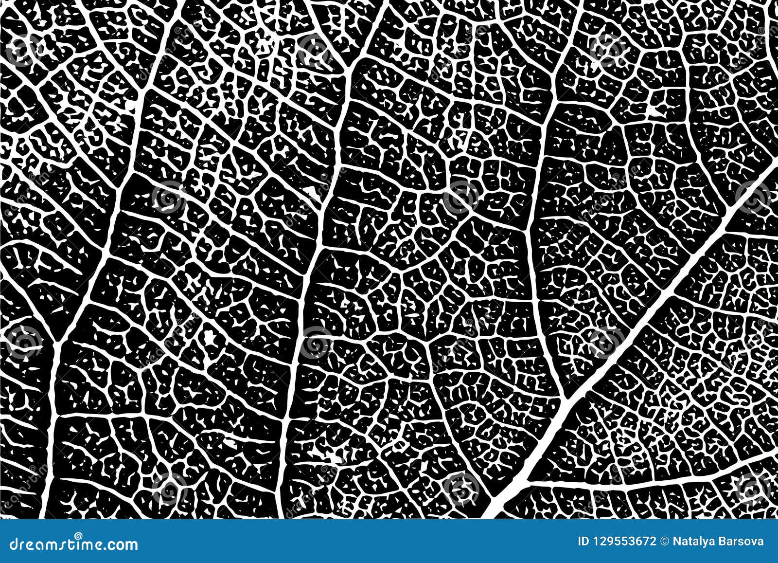 Detail Leaf Structure with Streaks Stock Vector Illustration of macro