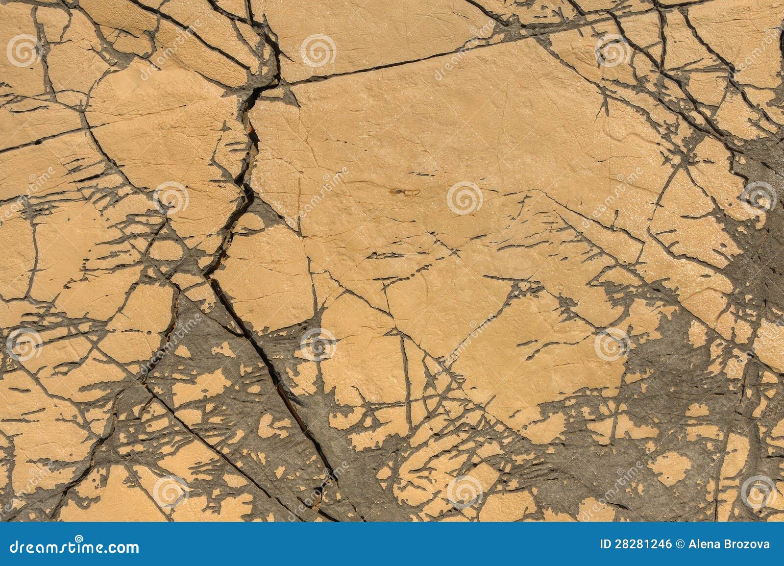 Detail of Limestone Surface Stock Photo Image of geology, beautiful 28281246