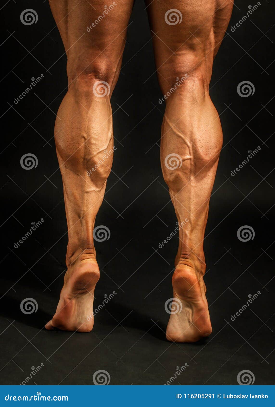 Thick male legs stock photo. Image of muscular, thighs - 1390850