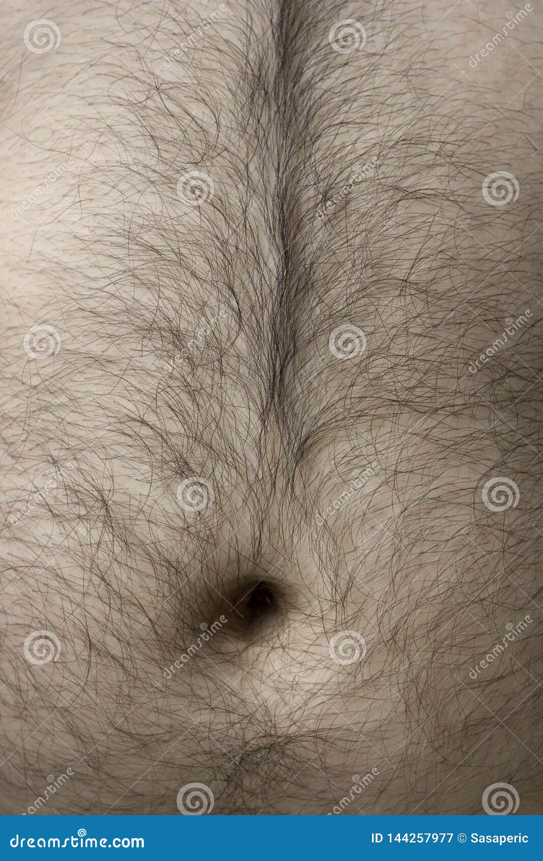Detail of Man`s Body - Belly with Hair Stock Image - Image of human, diet:  144257977