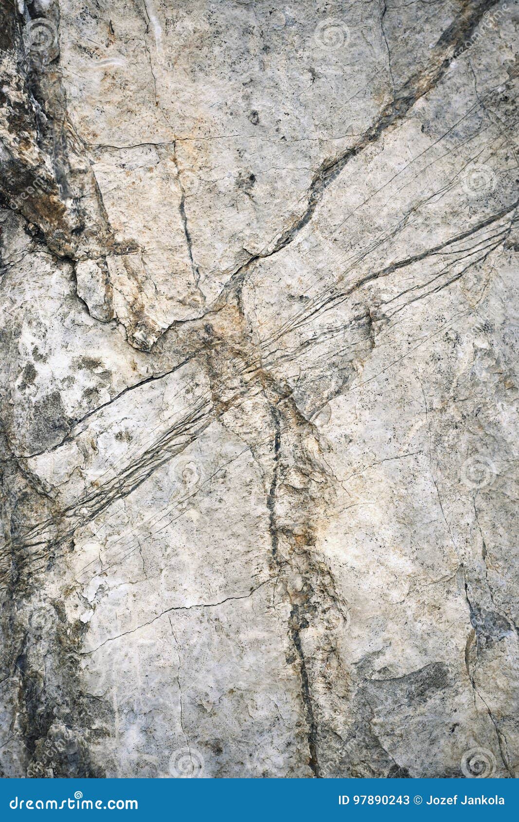 Detail old limestone rock stock image. Image of grooves 97890243