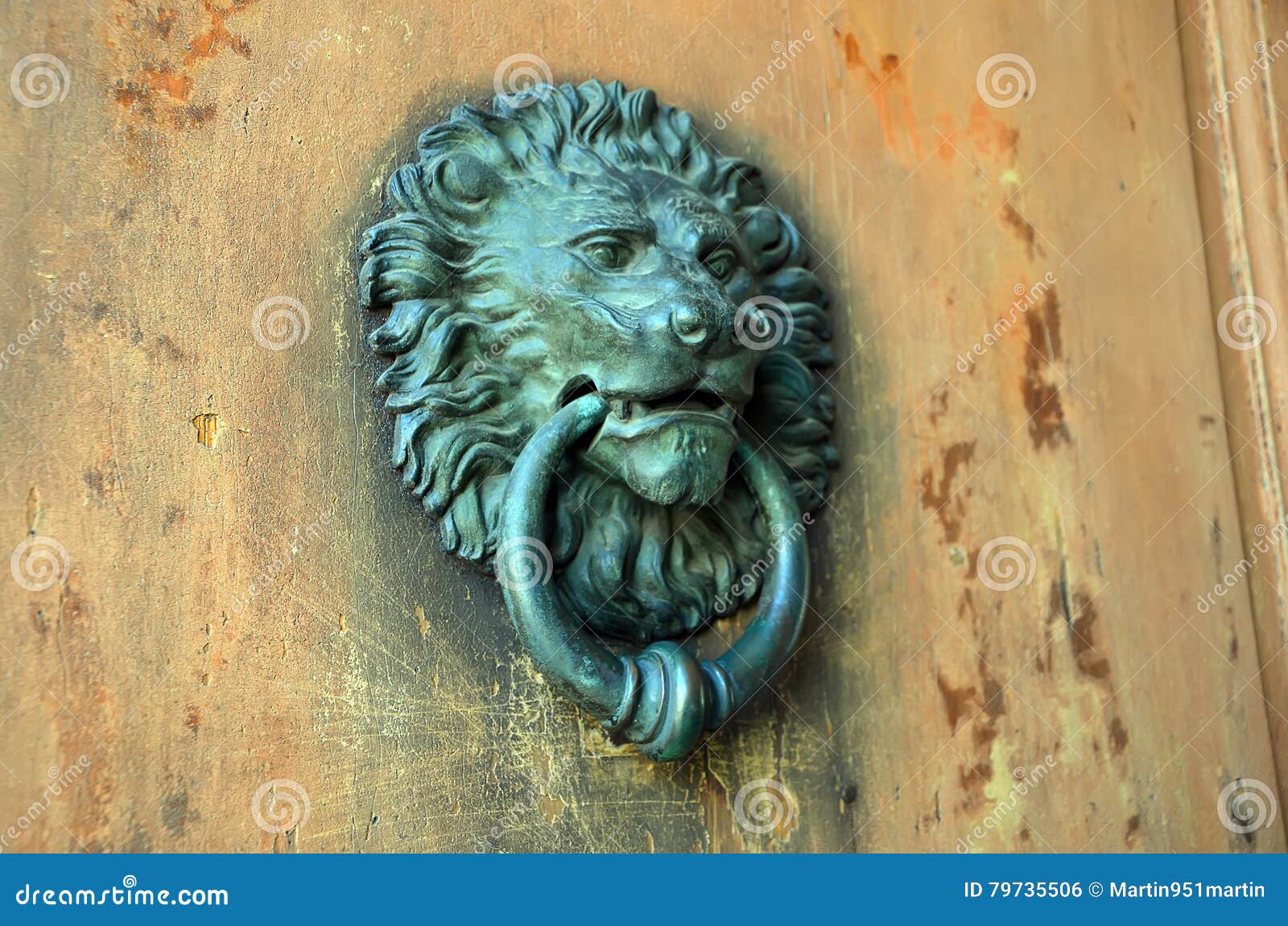 Image result for door knockers lion head