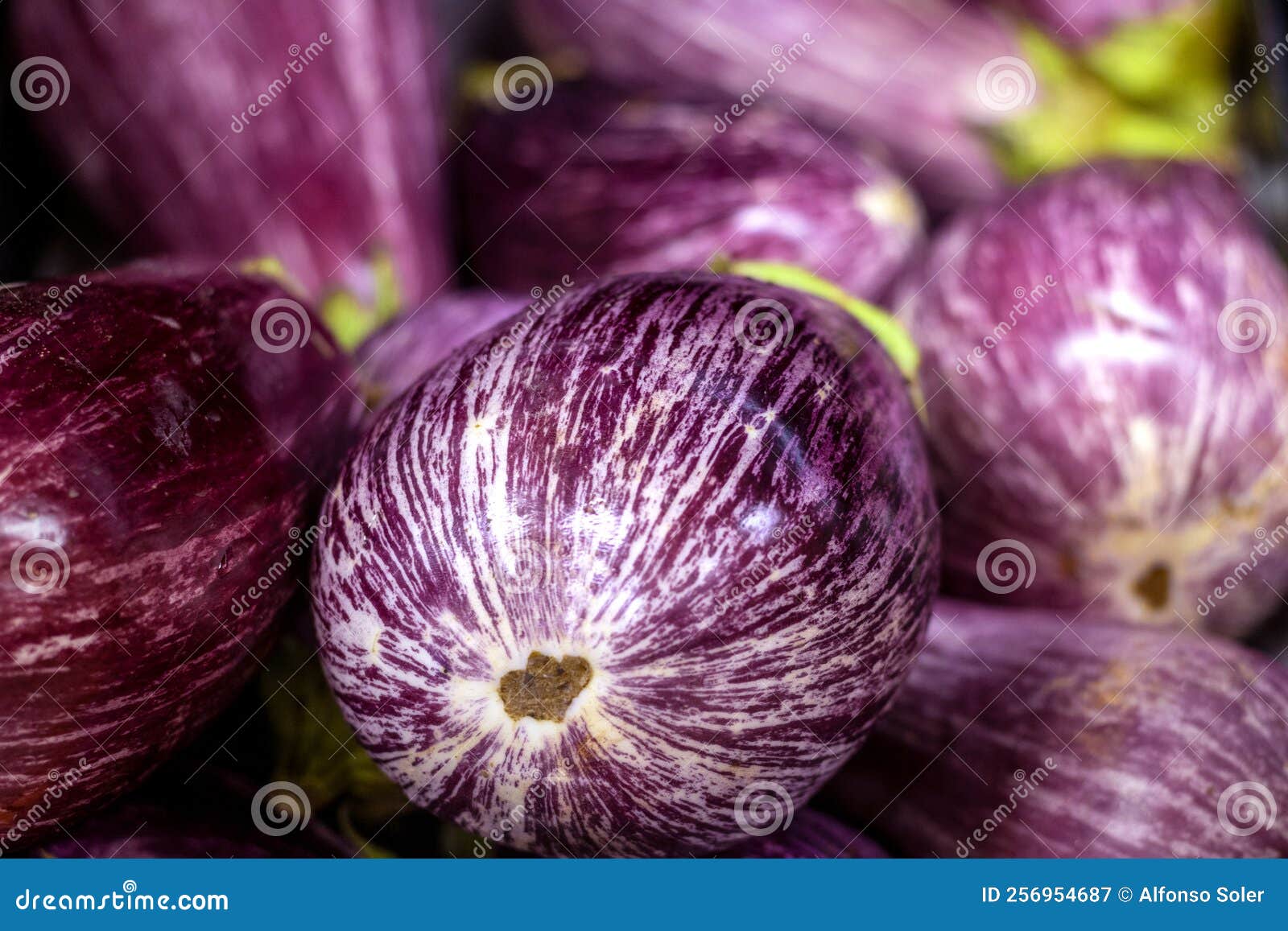 Detail Plan of Eggplants in the Fruit Store Stock Image Image of