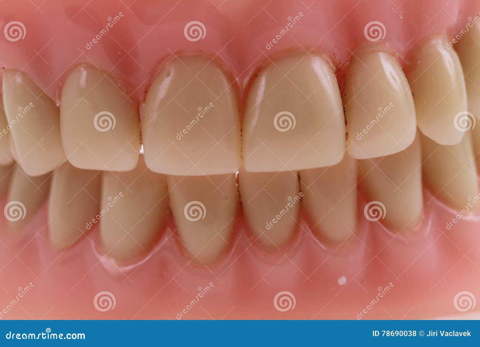 Detail plastic teeth stock photo. Image of background - 78690038