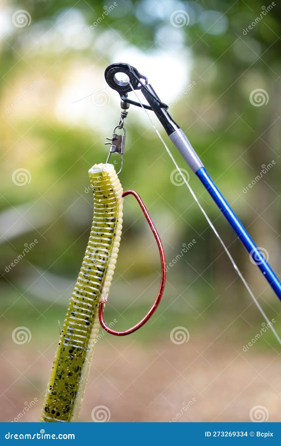 Detail of Plastic Worm and Weedless Hook Rig Stock Photo - Image of plastic,  fishing: 273269334