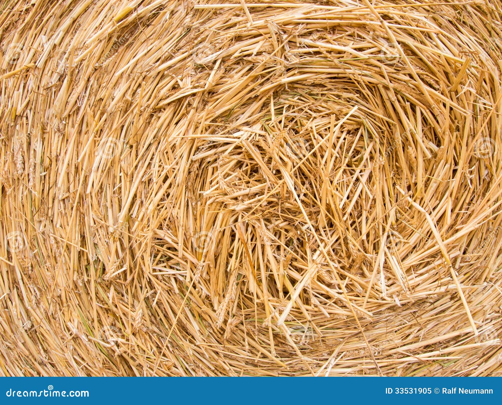 Detail of a Round Bale of Straw Stock Image Image of ripe, cereals