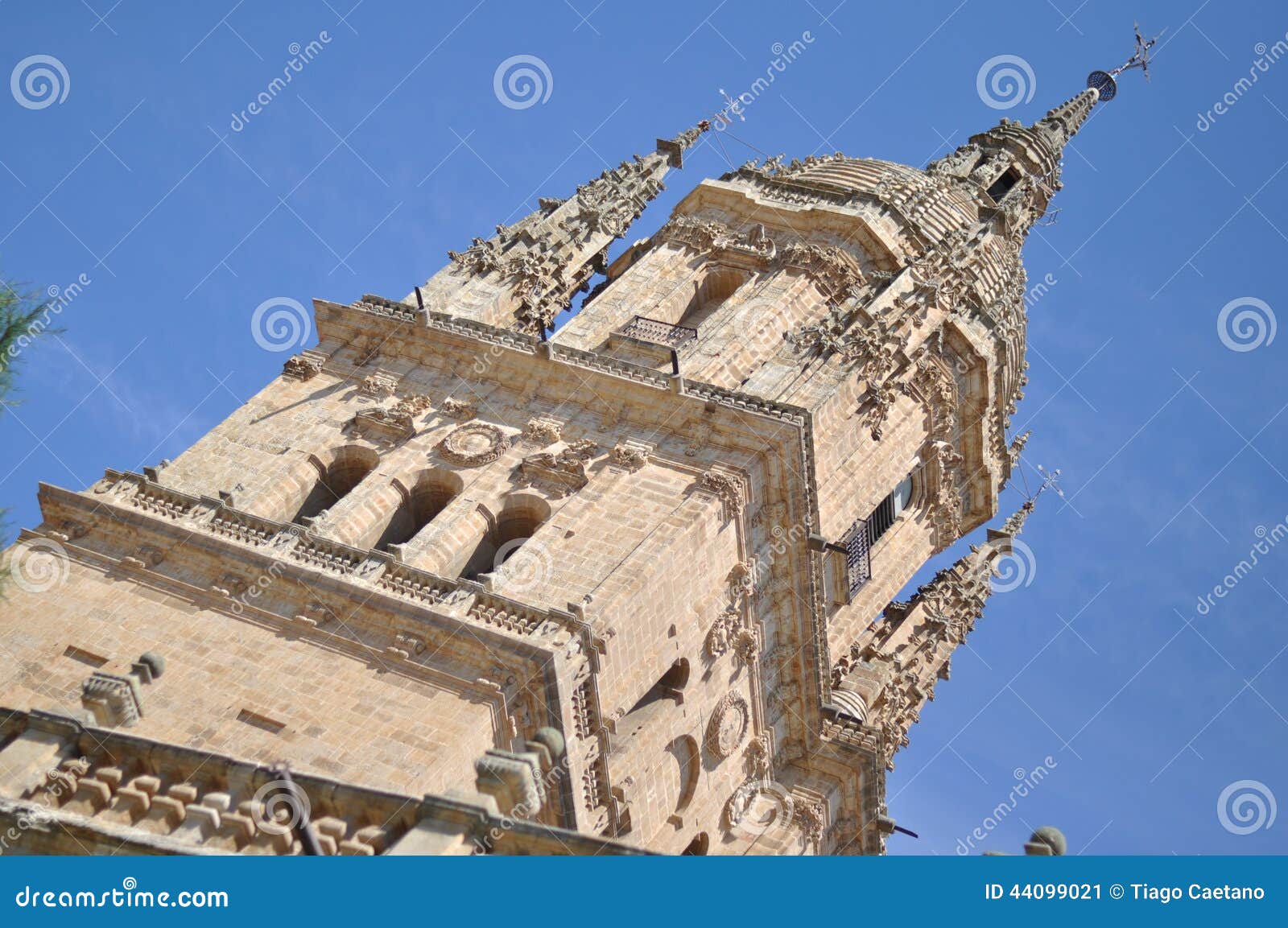detail of salamanca cathedral jerÃÂ³nimo tower
