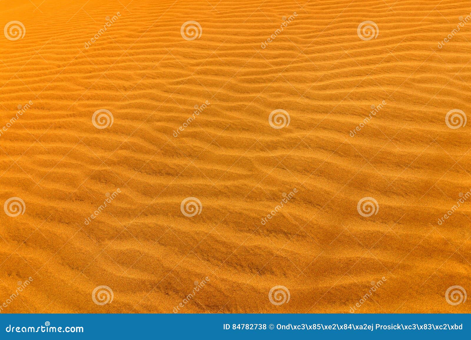 detail of sand dune in desert. summer dry landscape in africa. sand waves in the wild nature. dunas maspalomas, gran canaria, spai