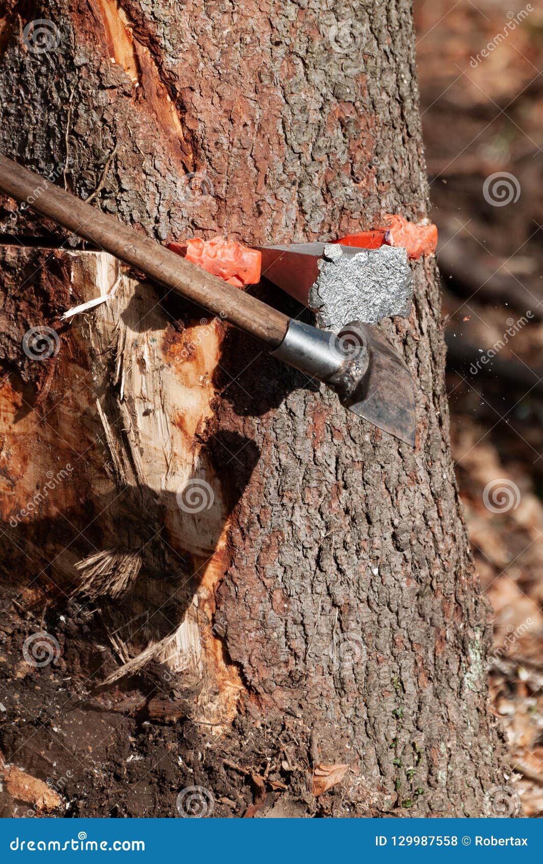 splitting maul and wedge