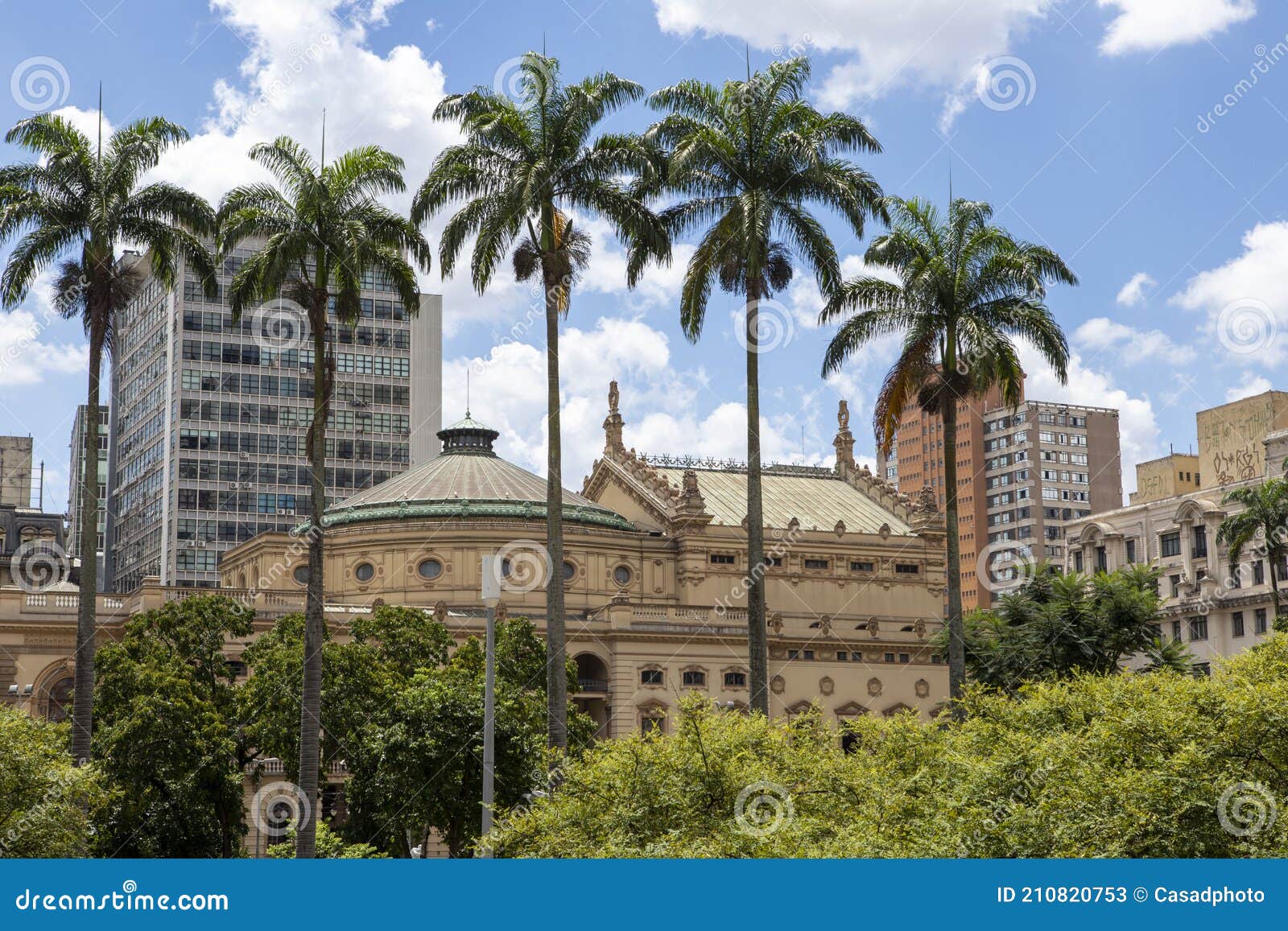 detail of sÃÂ£o paulo municipal theater