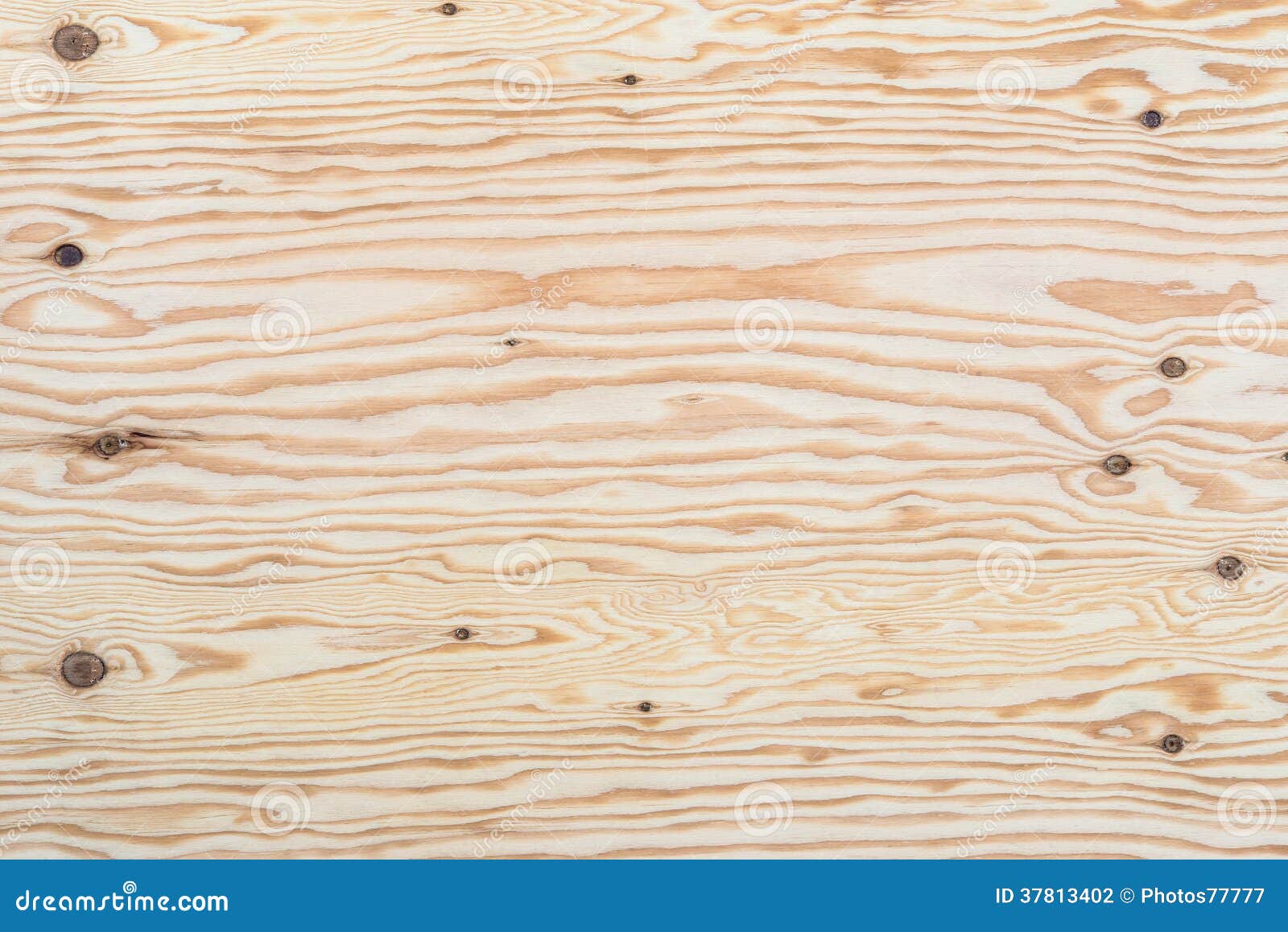 Detail Texture Of Plywood Stock Photography Image 37813402