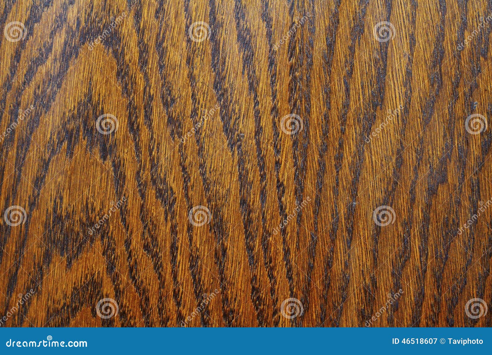Detail of Textured Wood Veneer Stock Image Image of hard, interior 46518607
