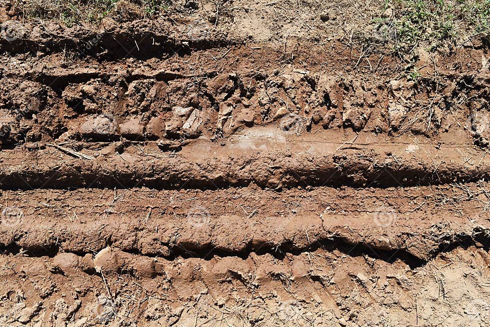 Tire Track of Many Vehicle on Soil Mud Road in Countryside Stock Photo