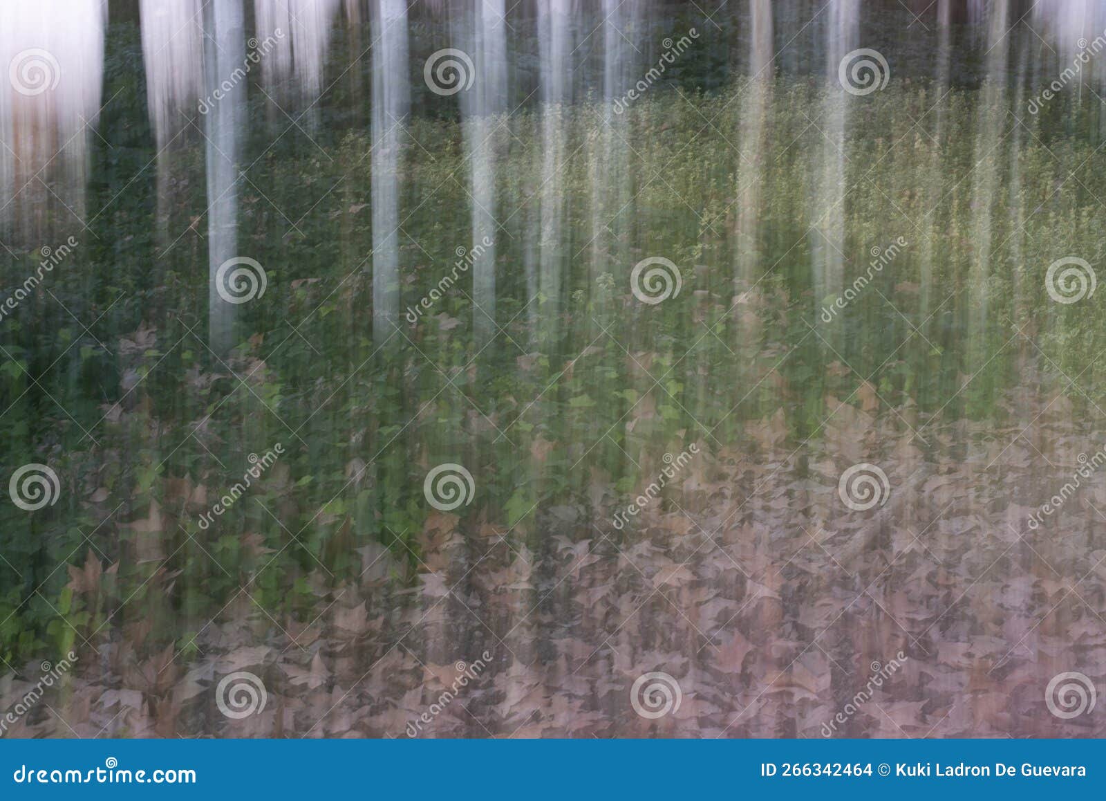 trees in the forest, icm, intentional camera movement