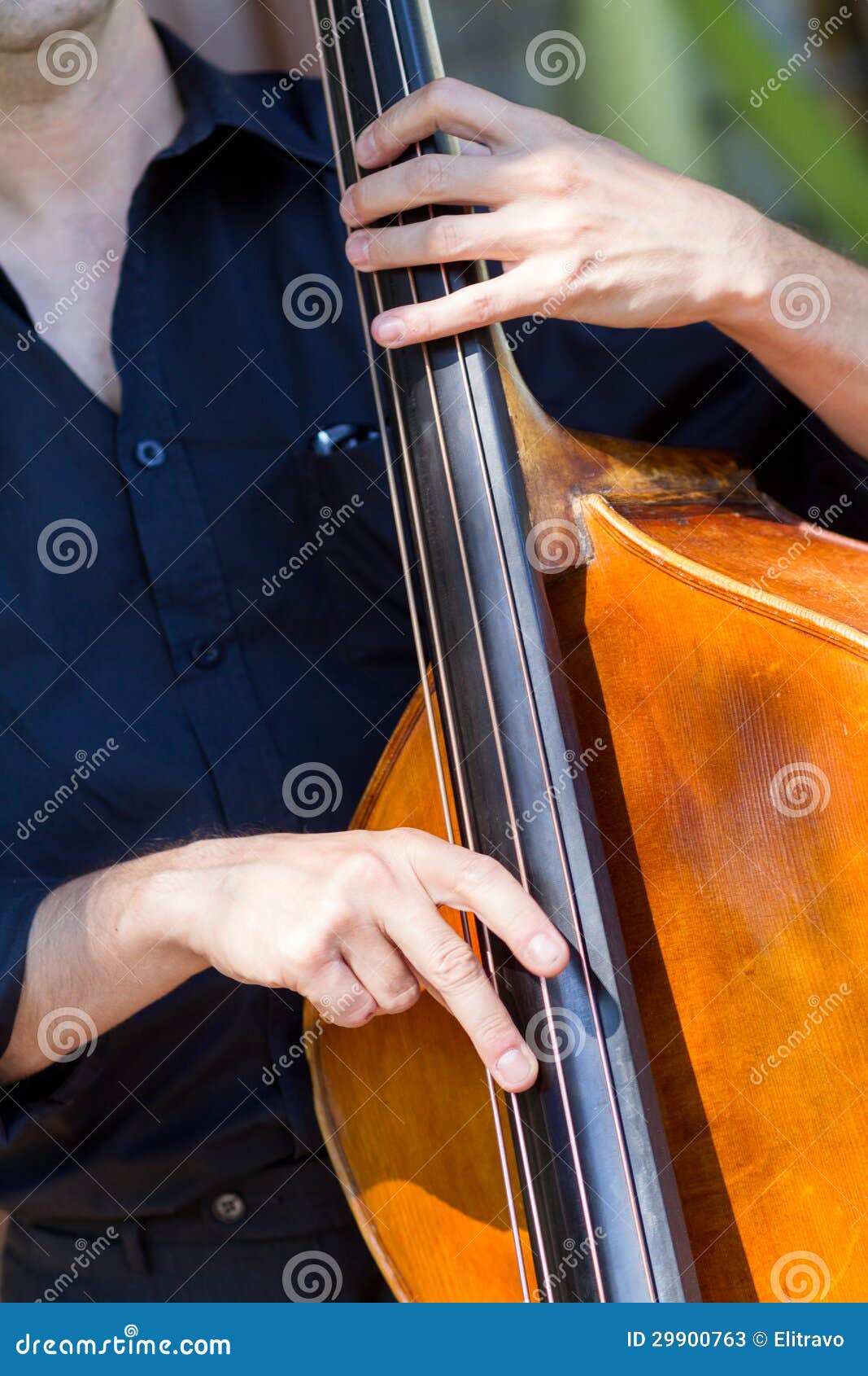 Musician Playing Doublebass Stock Image Image of entertainment
