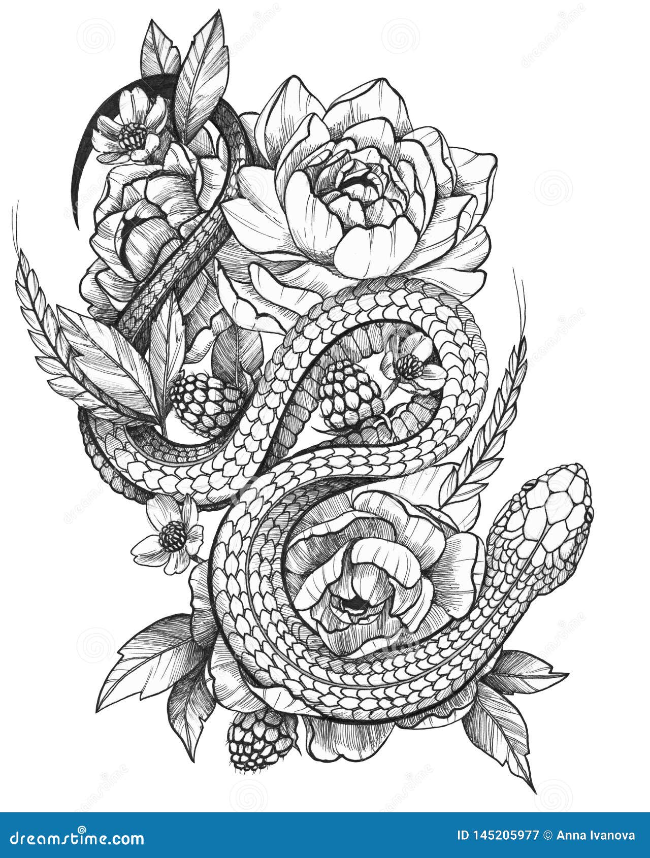 Black White Japanese Snake Peony Flower Stock Vector Royalty Free  717197491  Shutterstock