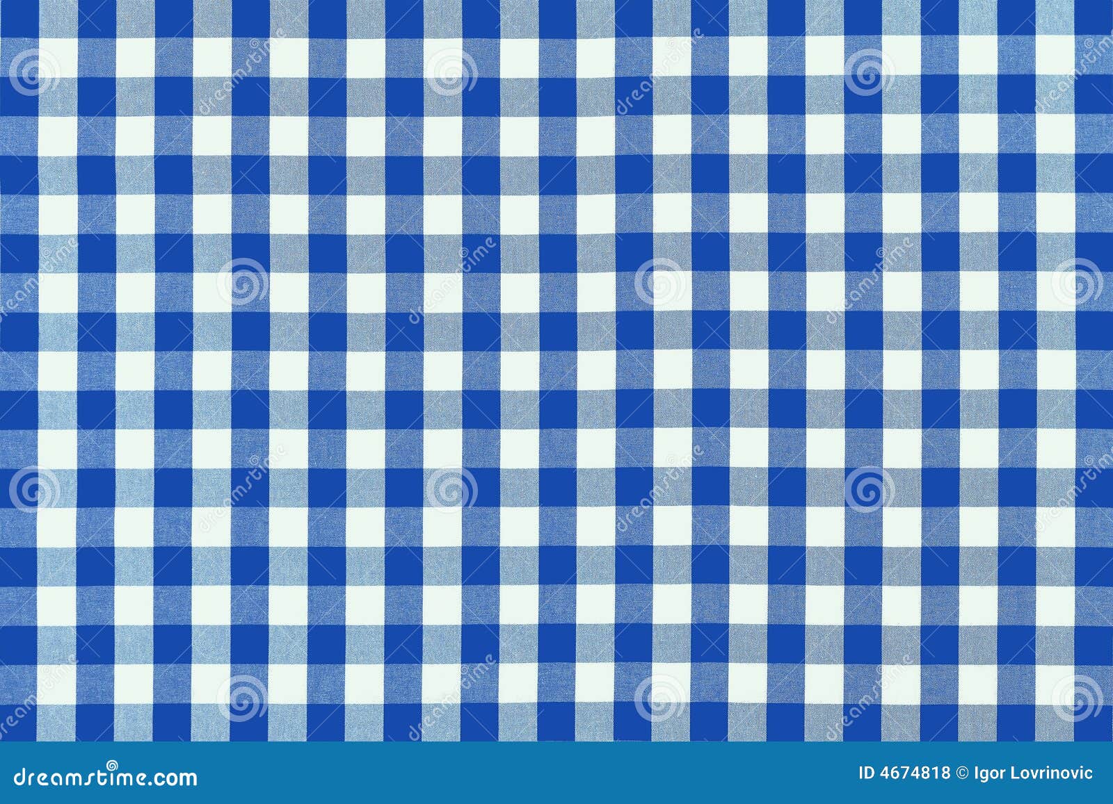 detailed blue picnic cloth