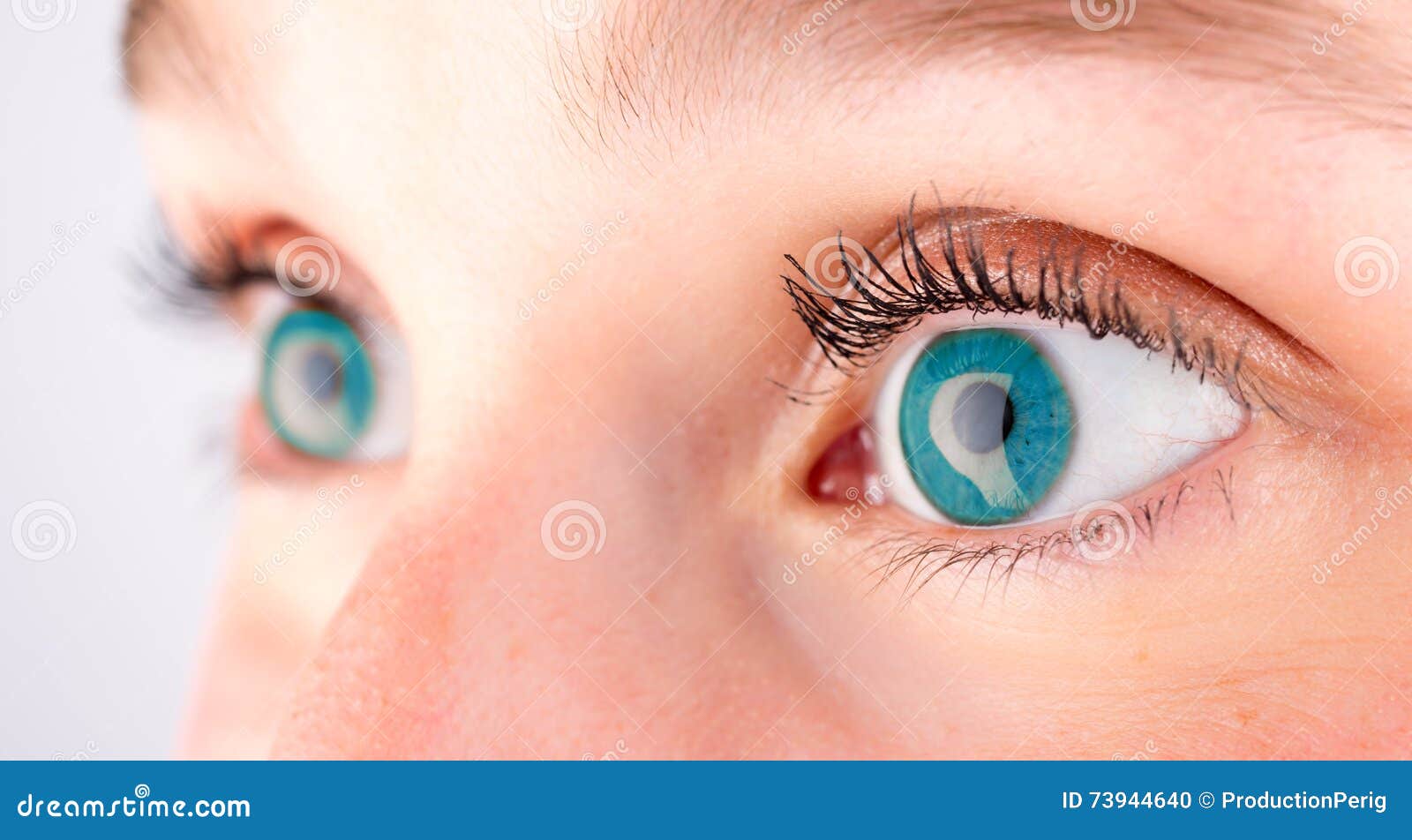 Detailed Close Up of an Blue Eye in High Definition Stock Photo Image